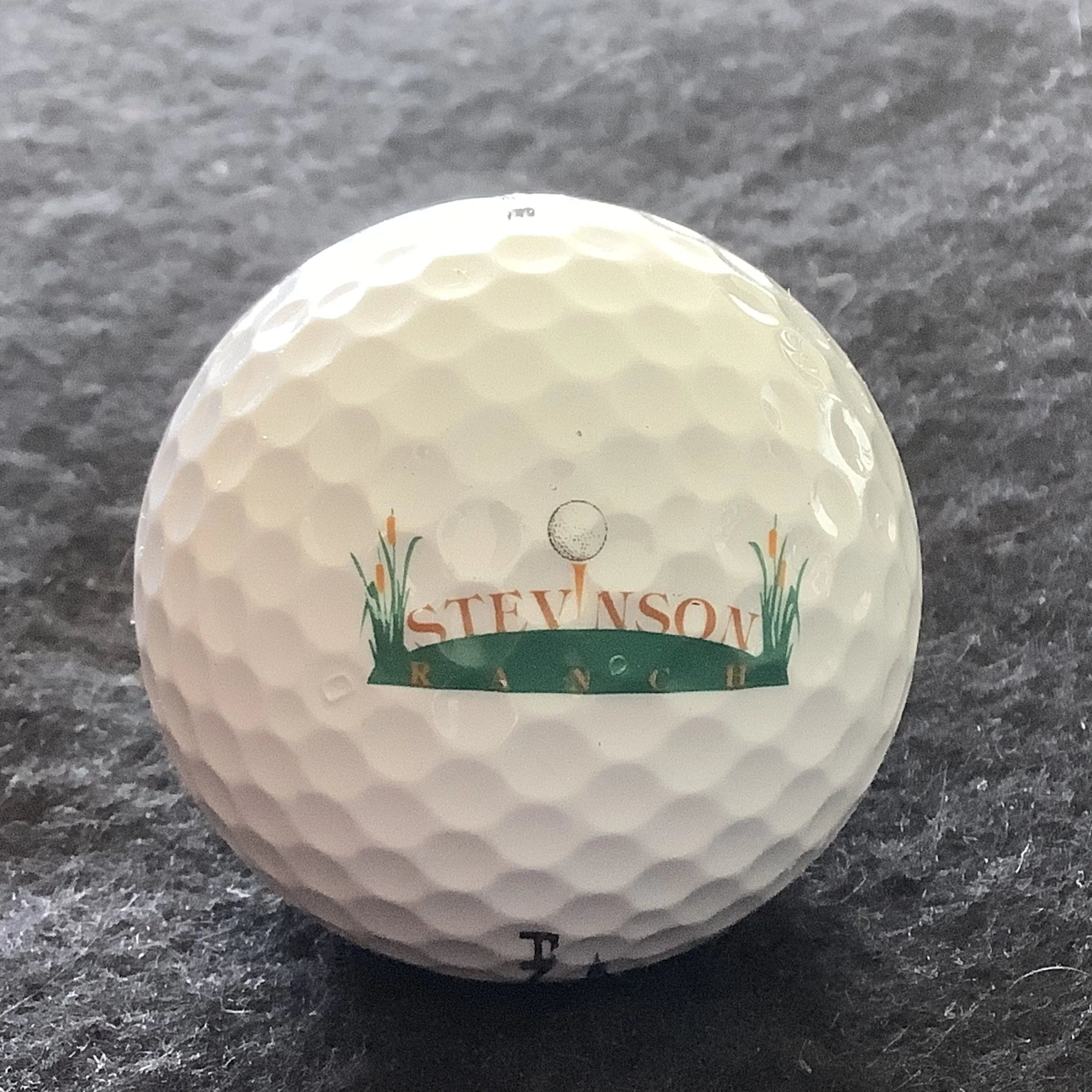 Stevinson Ranch Golf Course 