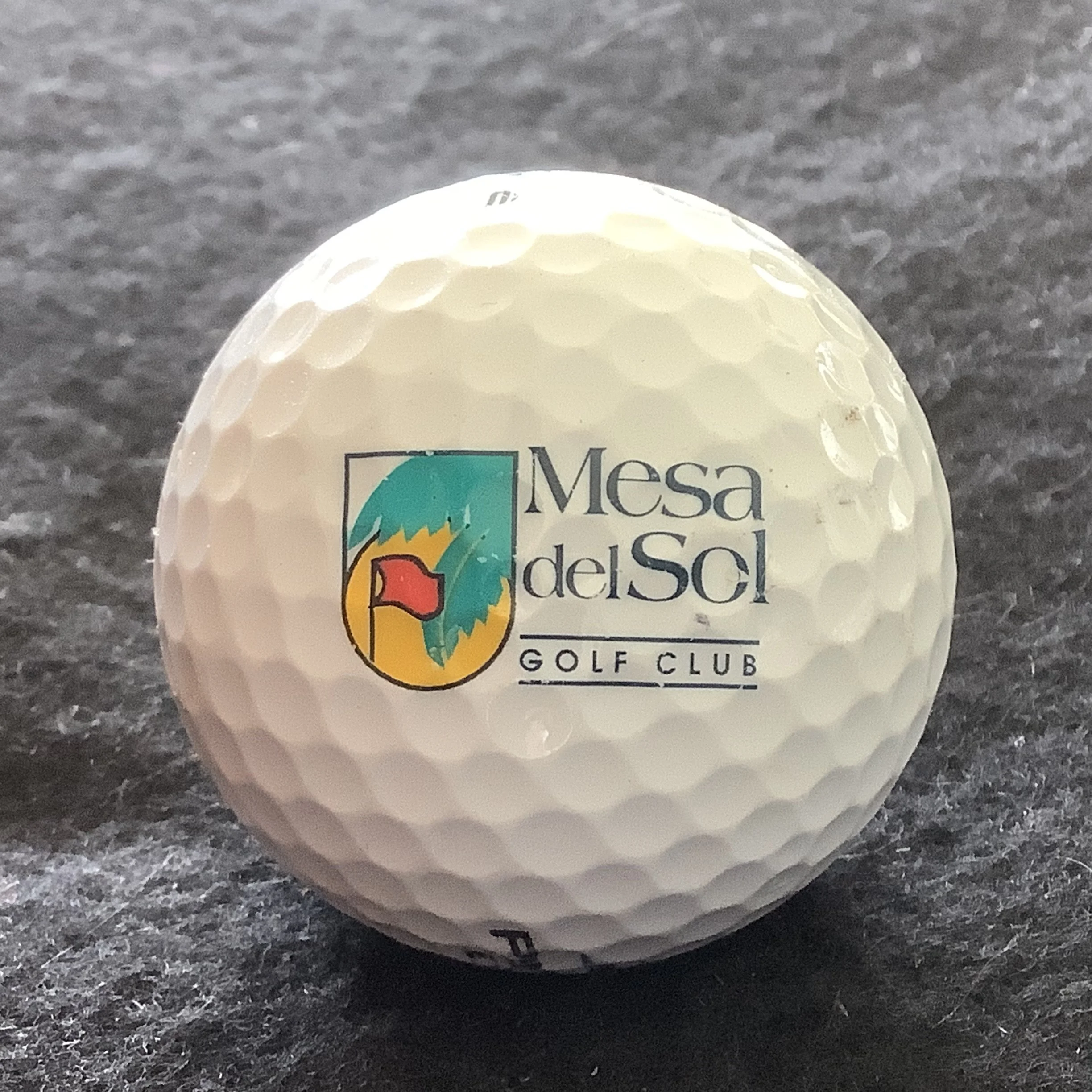 Mesa Del Sol Golf Club 