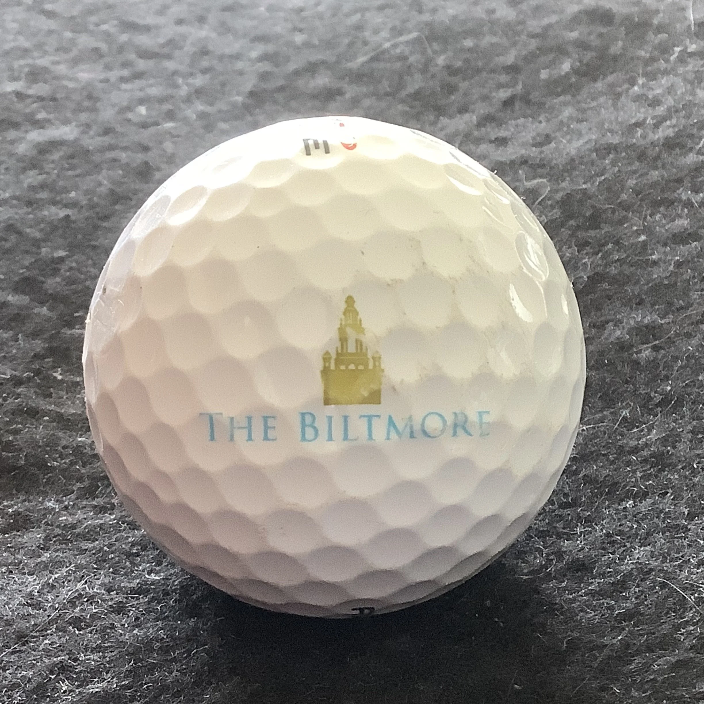 Biltmore - The Biltmore Golf Club 