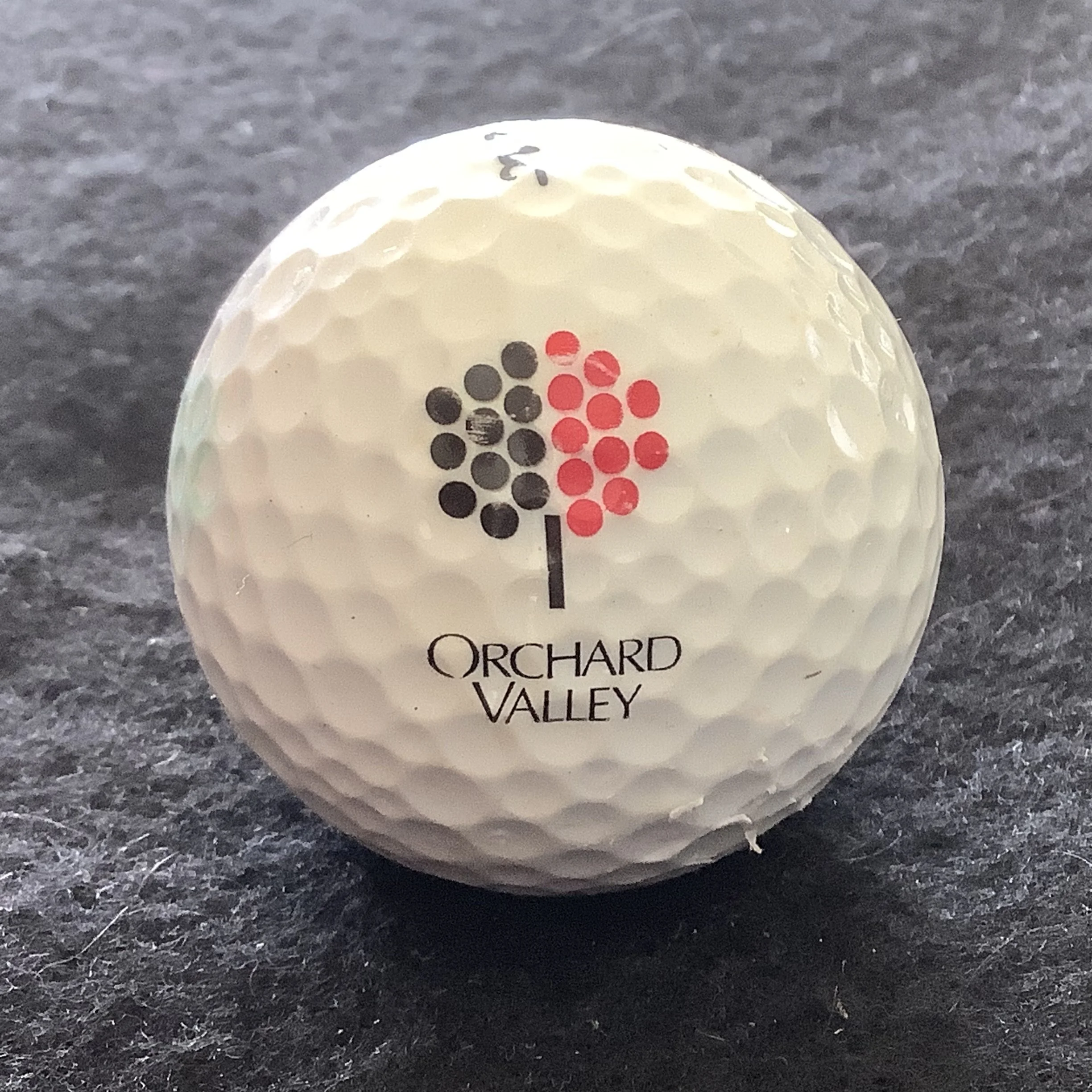 Orchard Valley Golf Club 