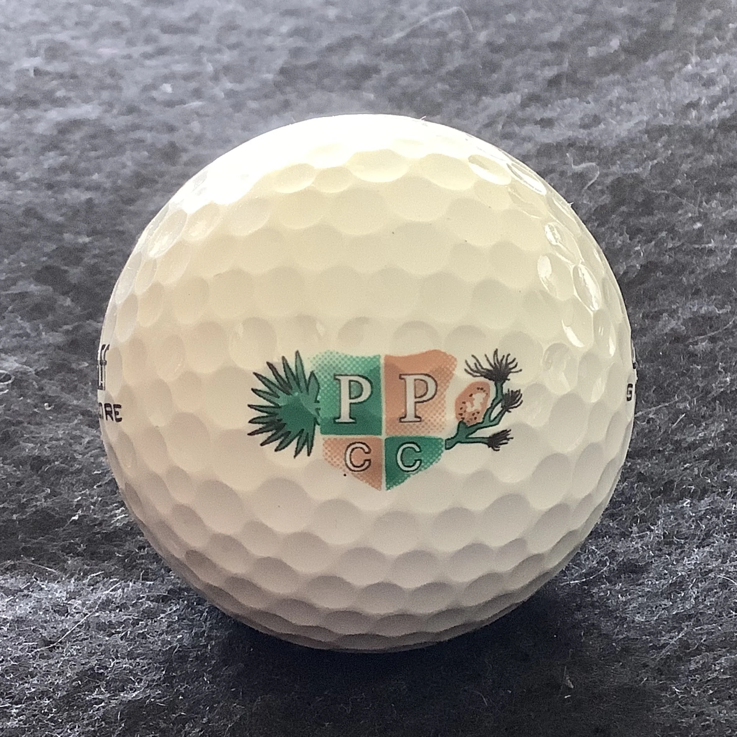 Palmetto Pines Country Club 