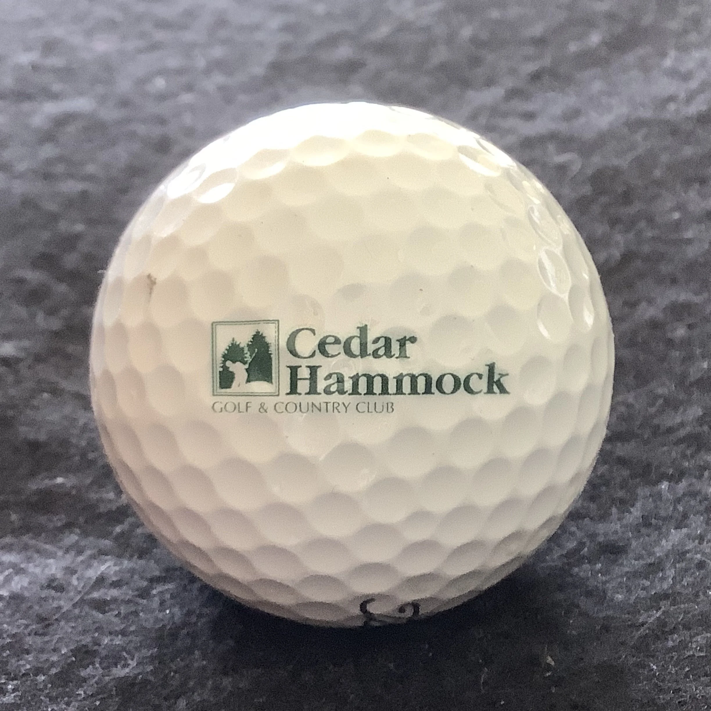 Cedar Hammock Golf and Country Club 