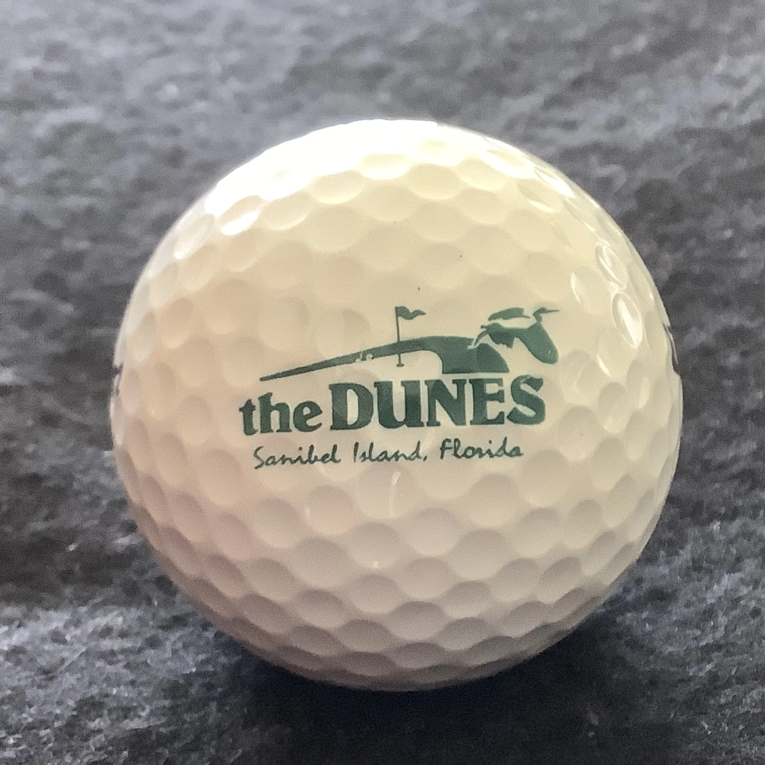 Dunes - The Dunes at Sanibel Island