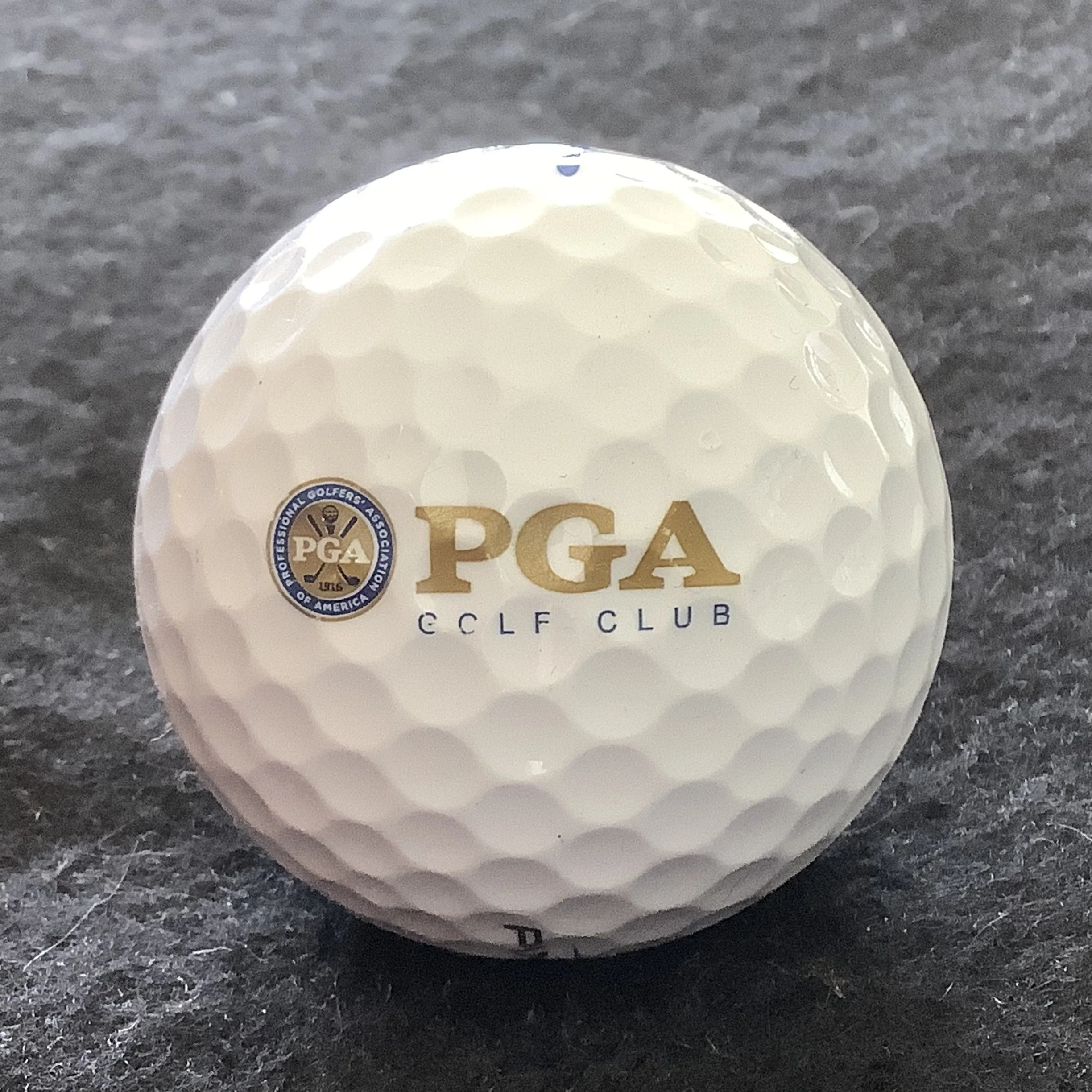 PGA Golf Club 