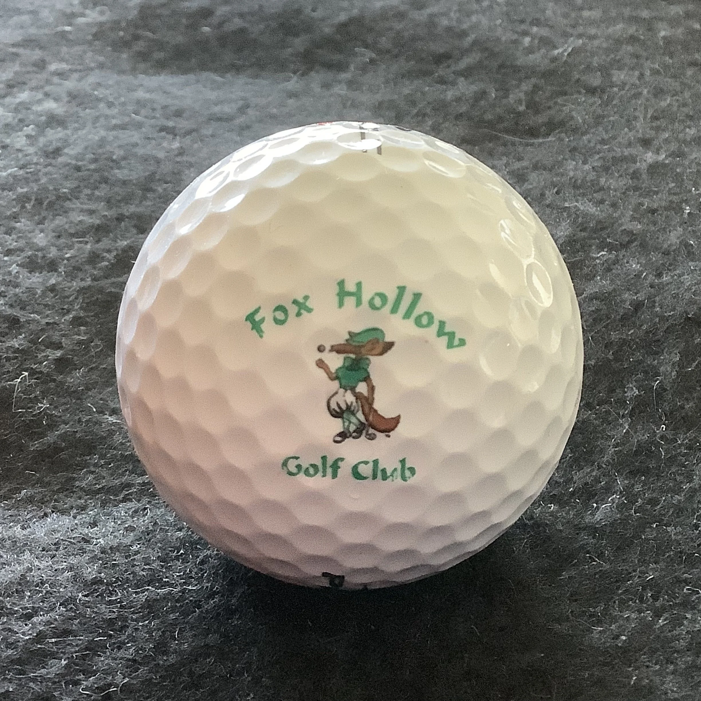 Fox Hollow Golf Club 