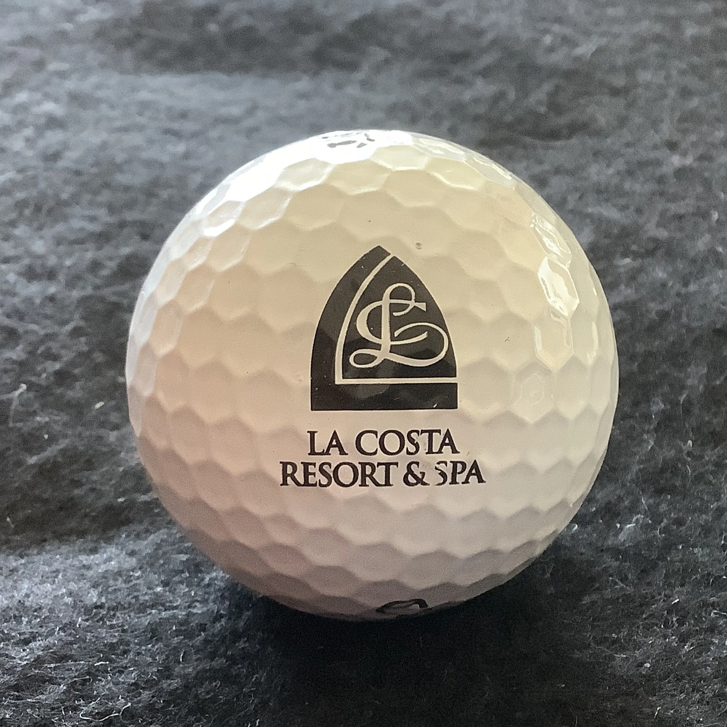 La Costa Resort and Spa 