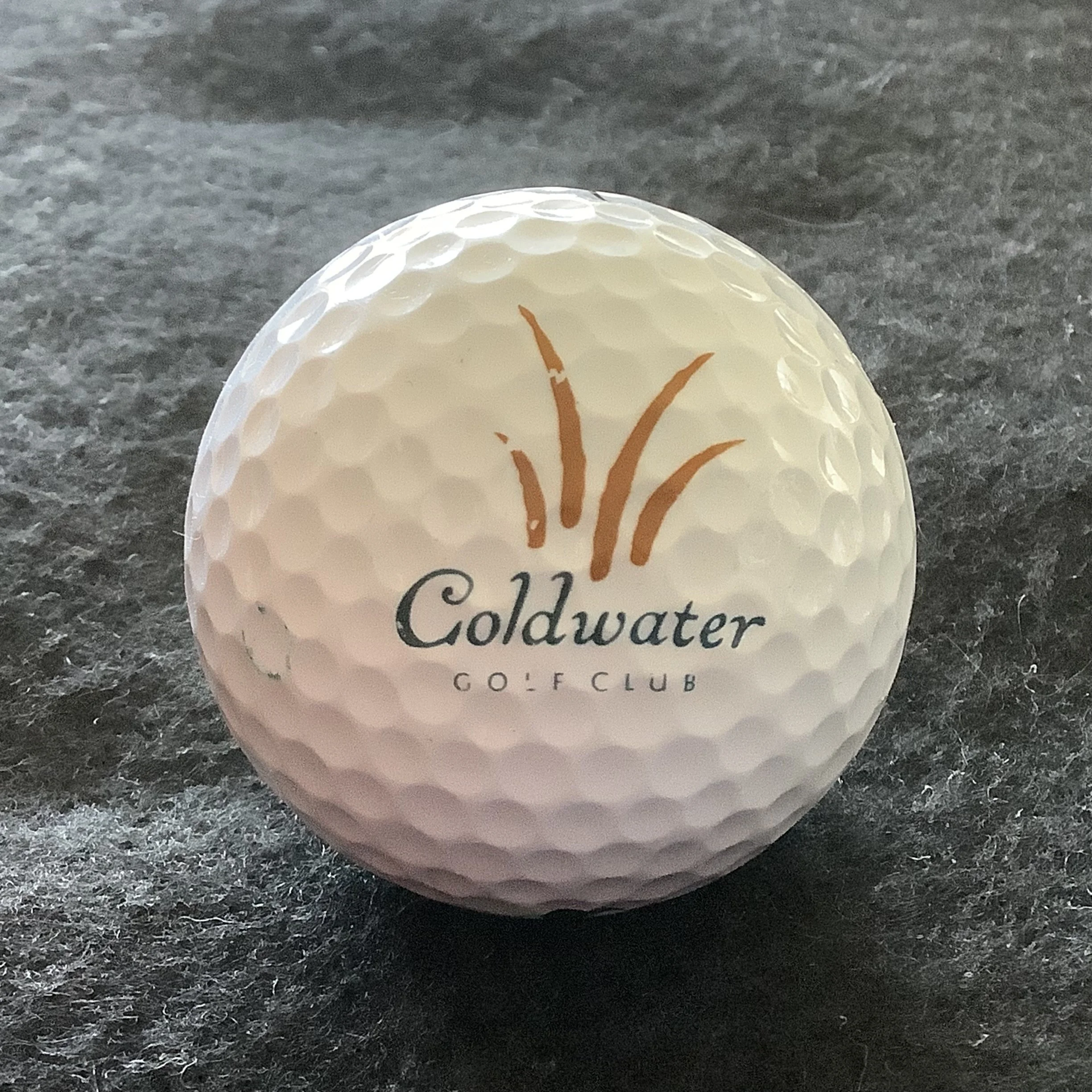 Coldwater Golf Club 
