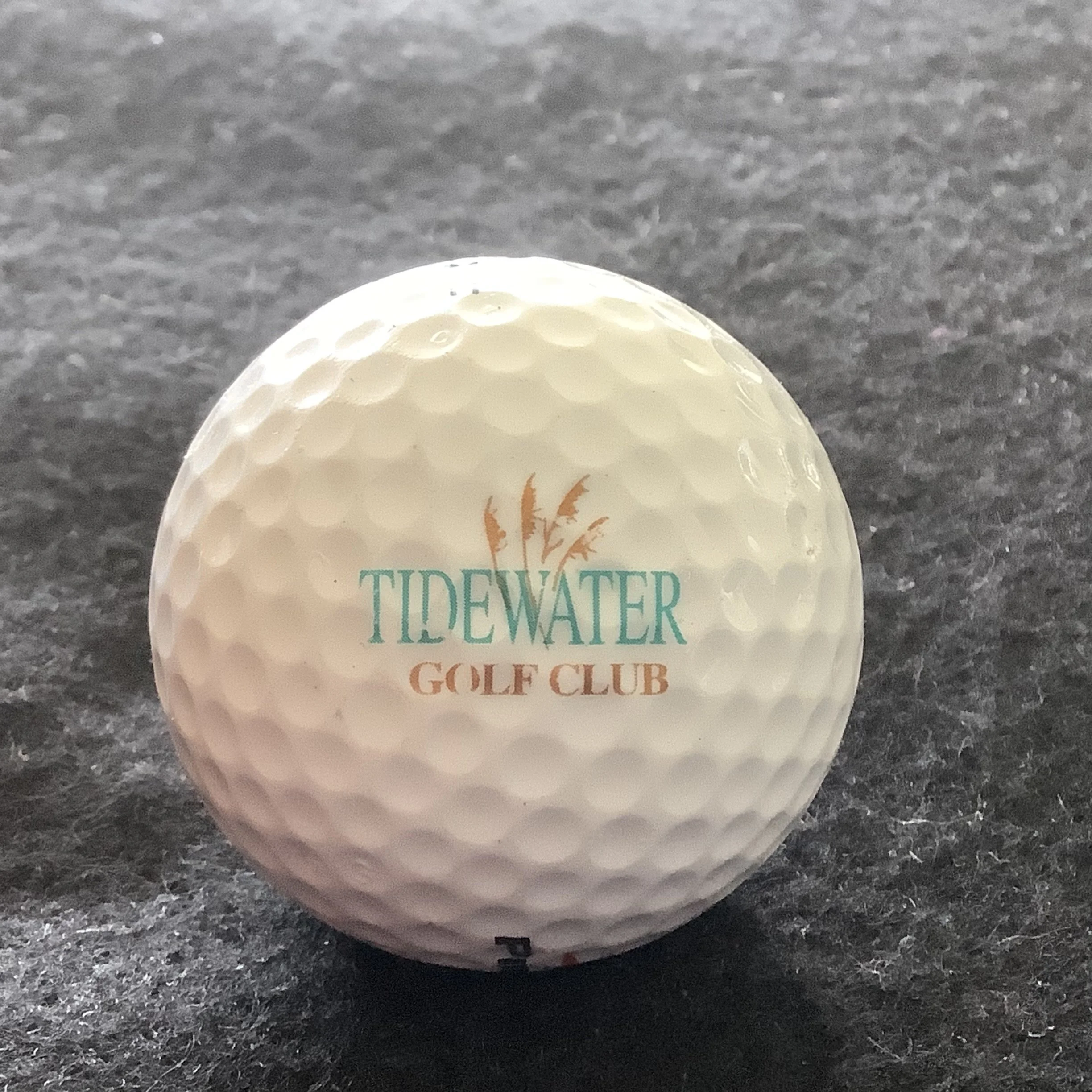 Tidewater Golf Club 