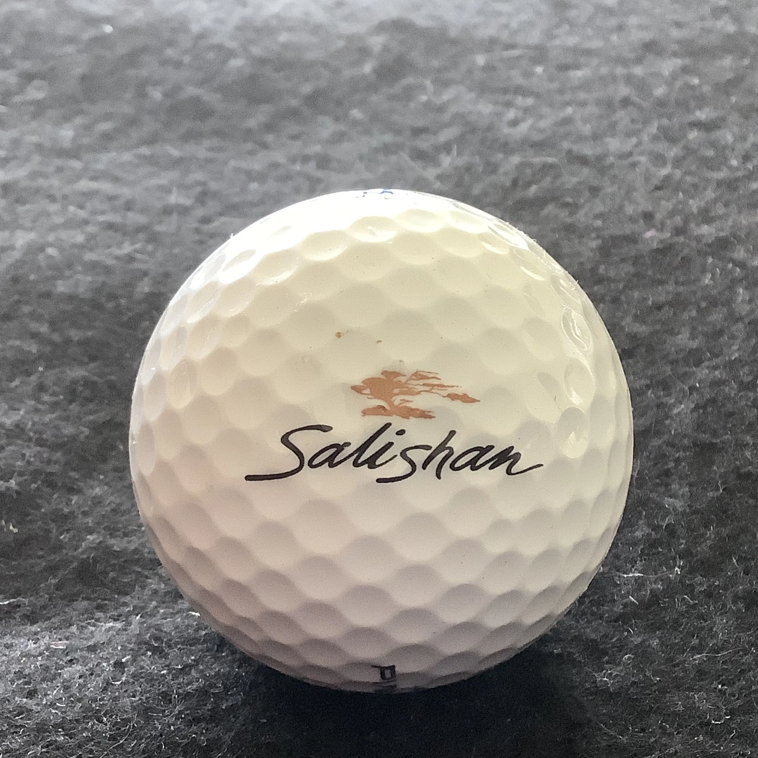 Salishan Resort 