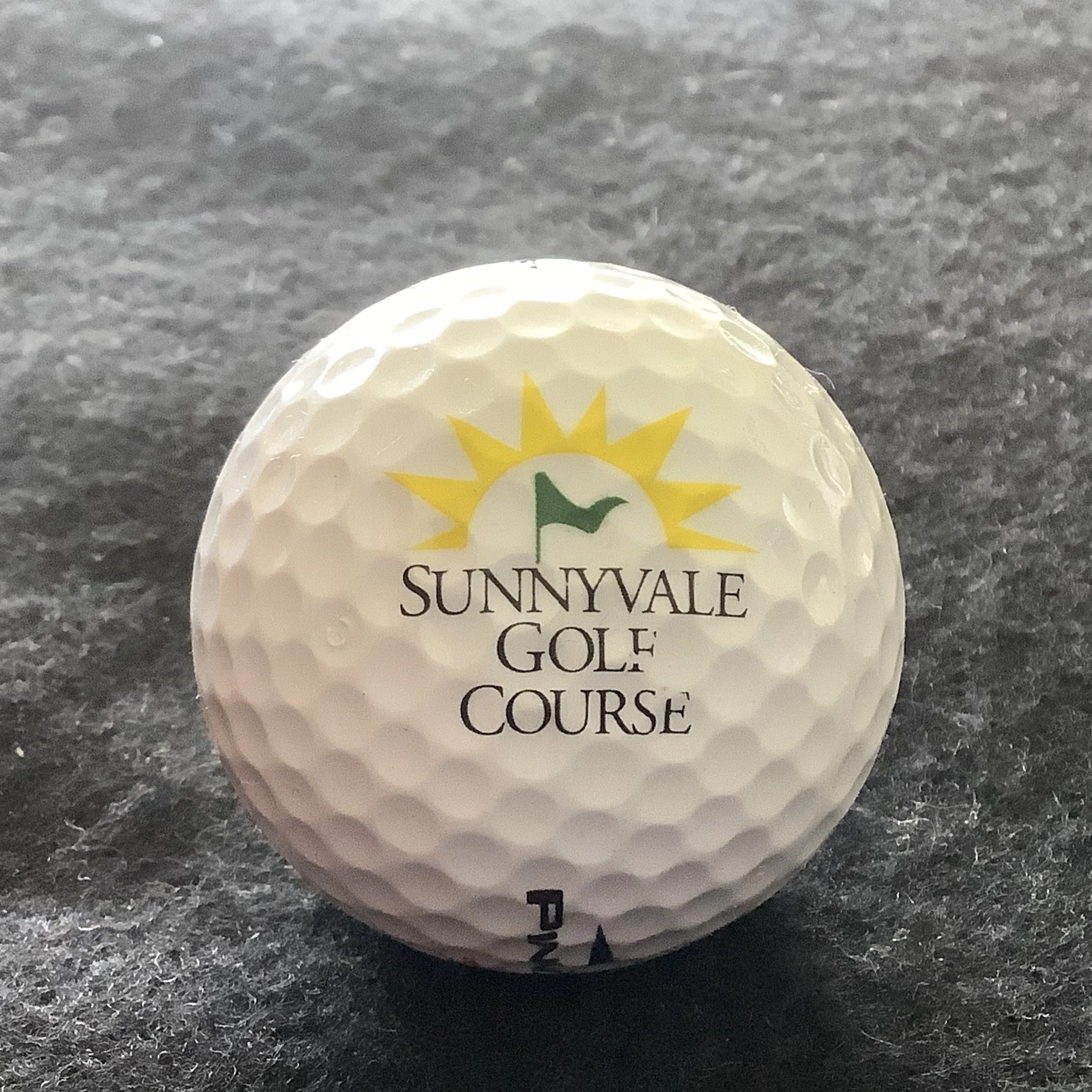 Sunnyvale Golf Course 