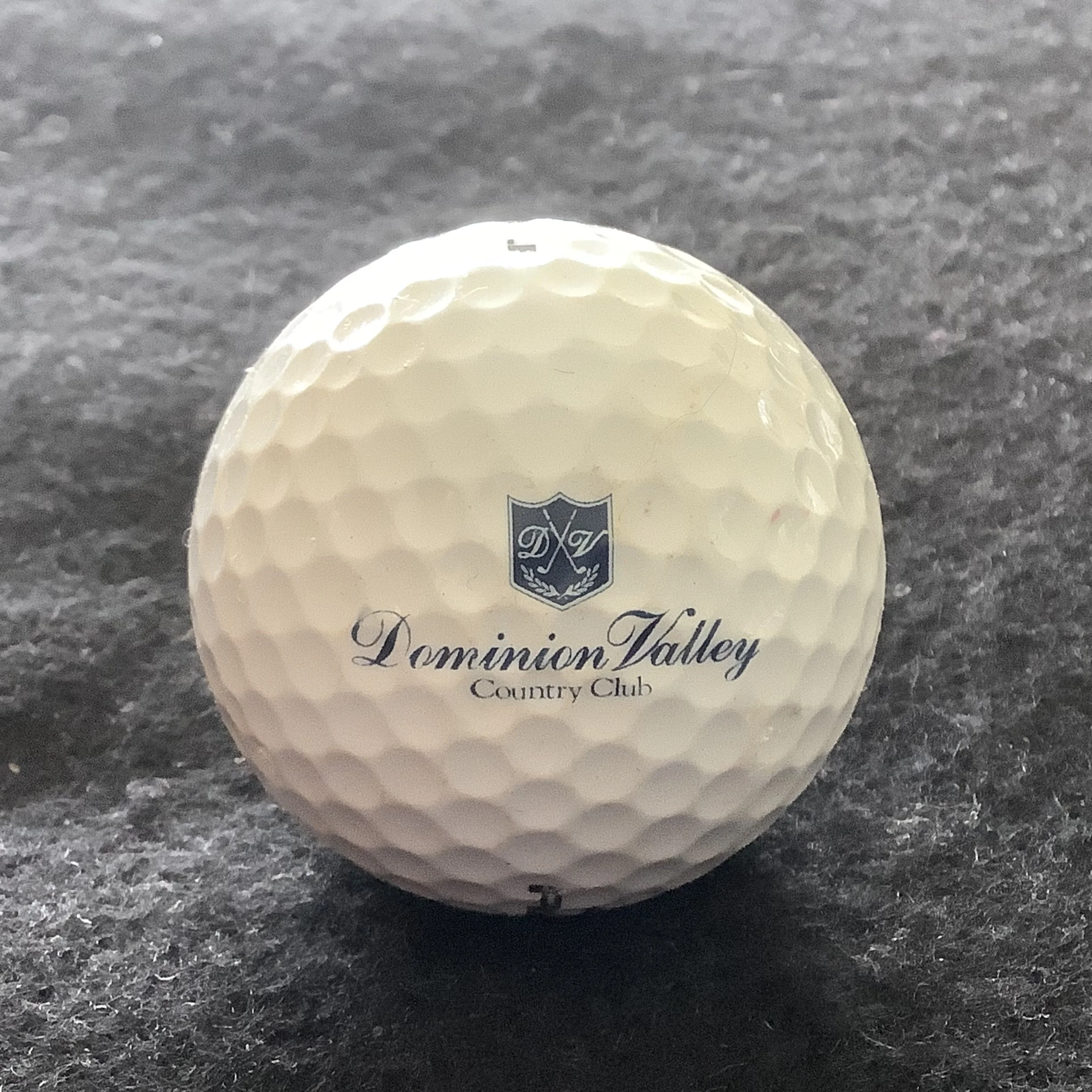Dominion Valley Country Club 