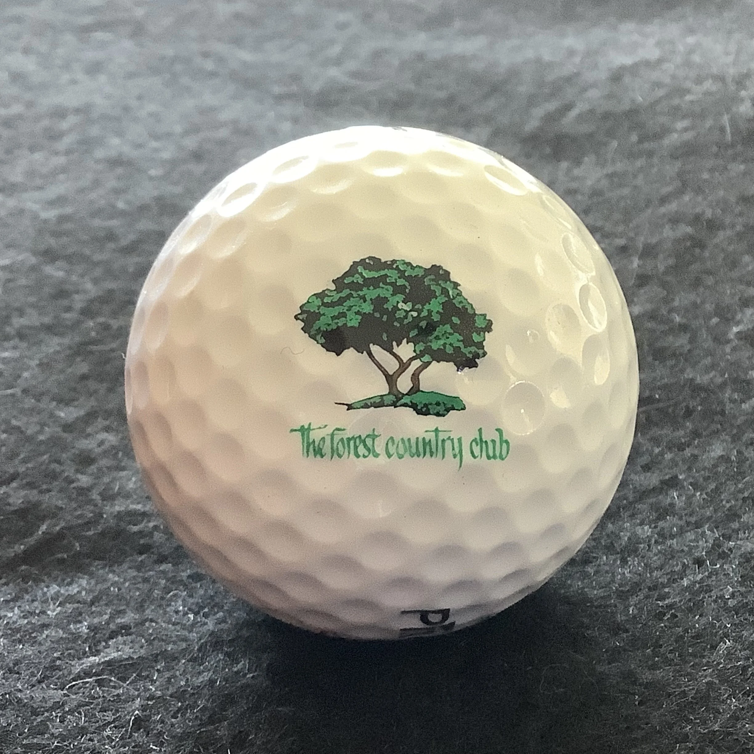 Forest - The Forest Country Club 