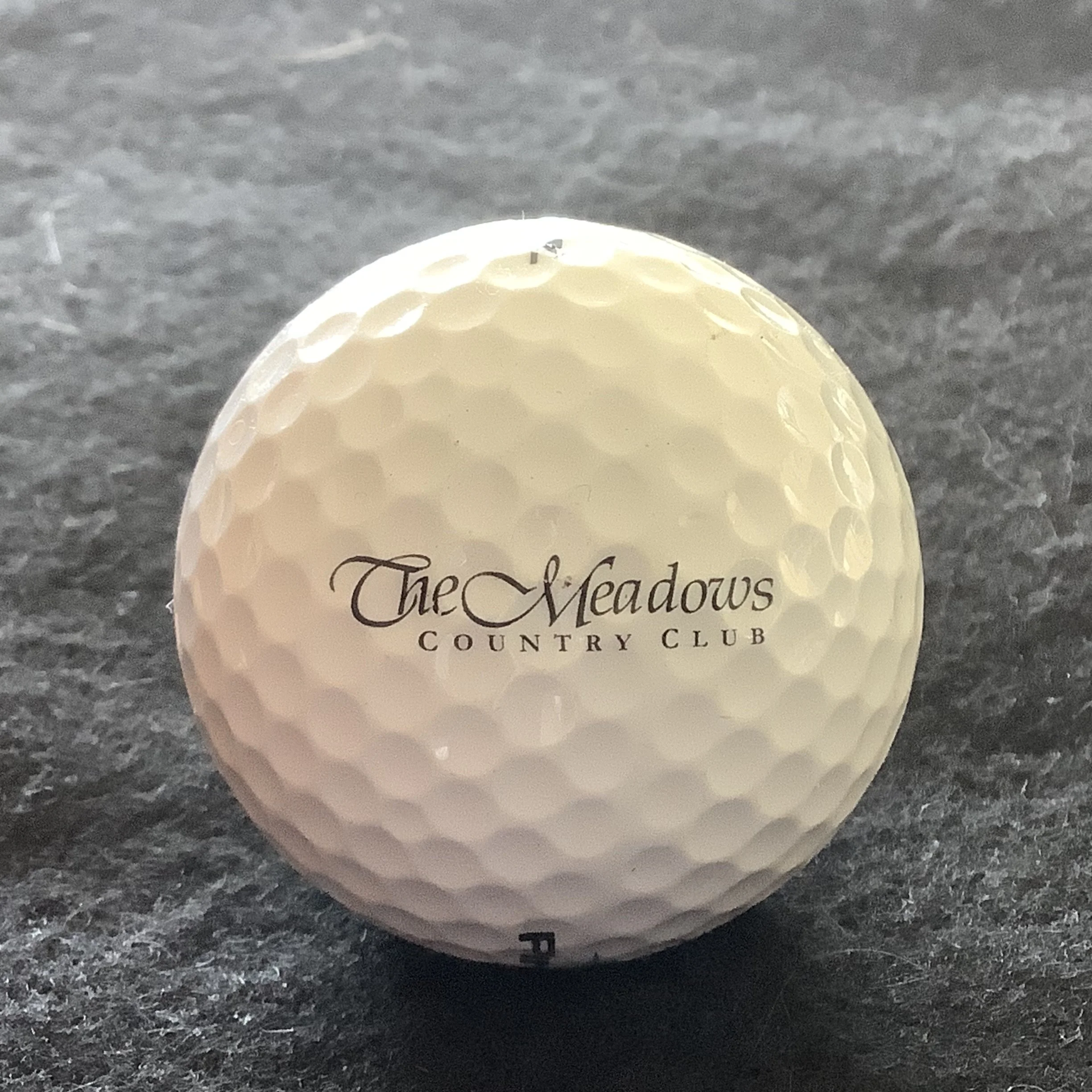 Meadows - The Meadows Country Club 