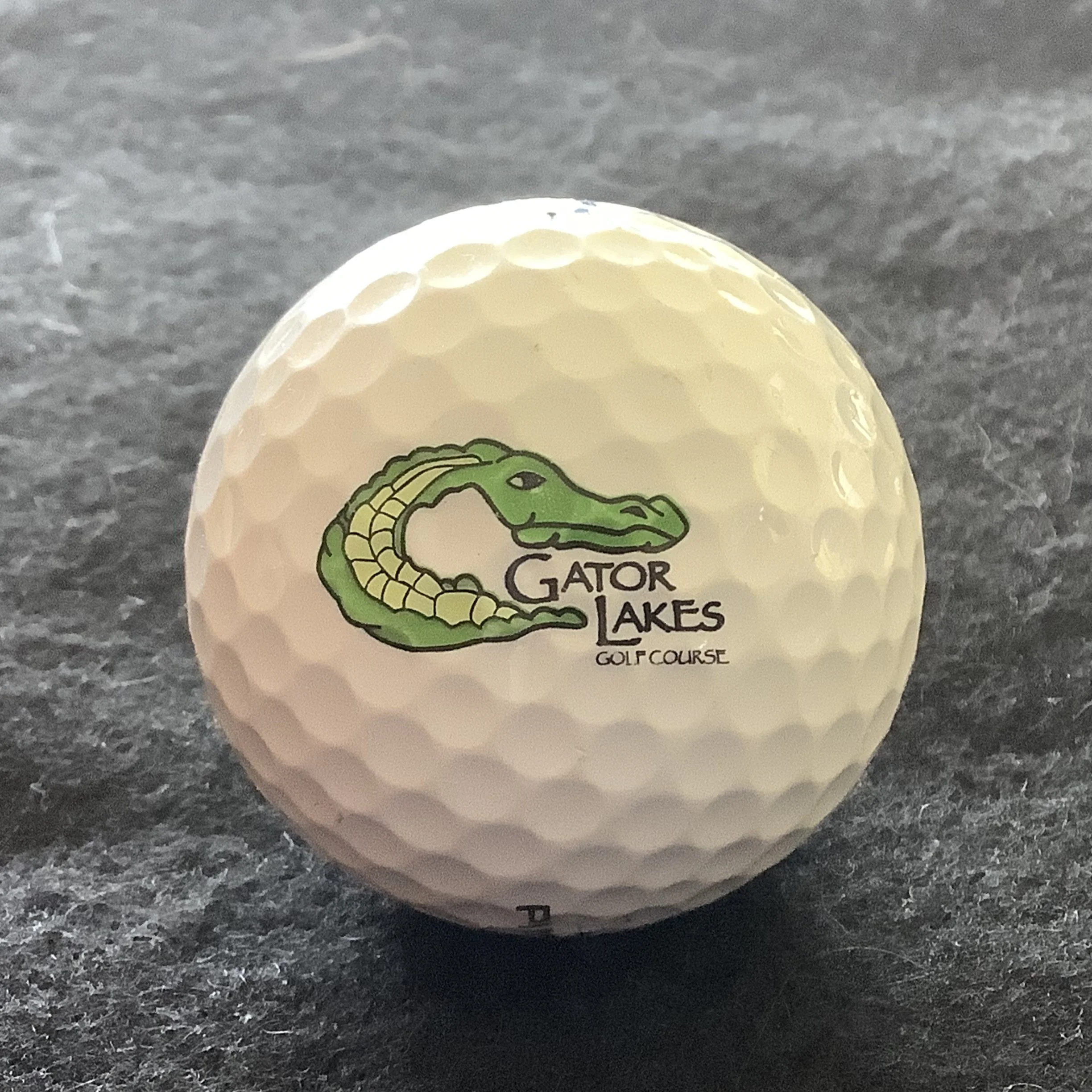 Gator Lakes Golf Course 