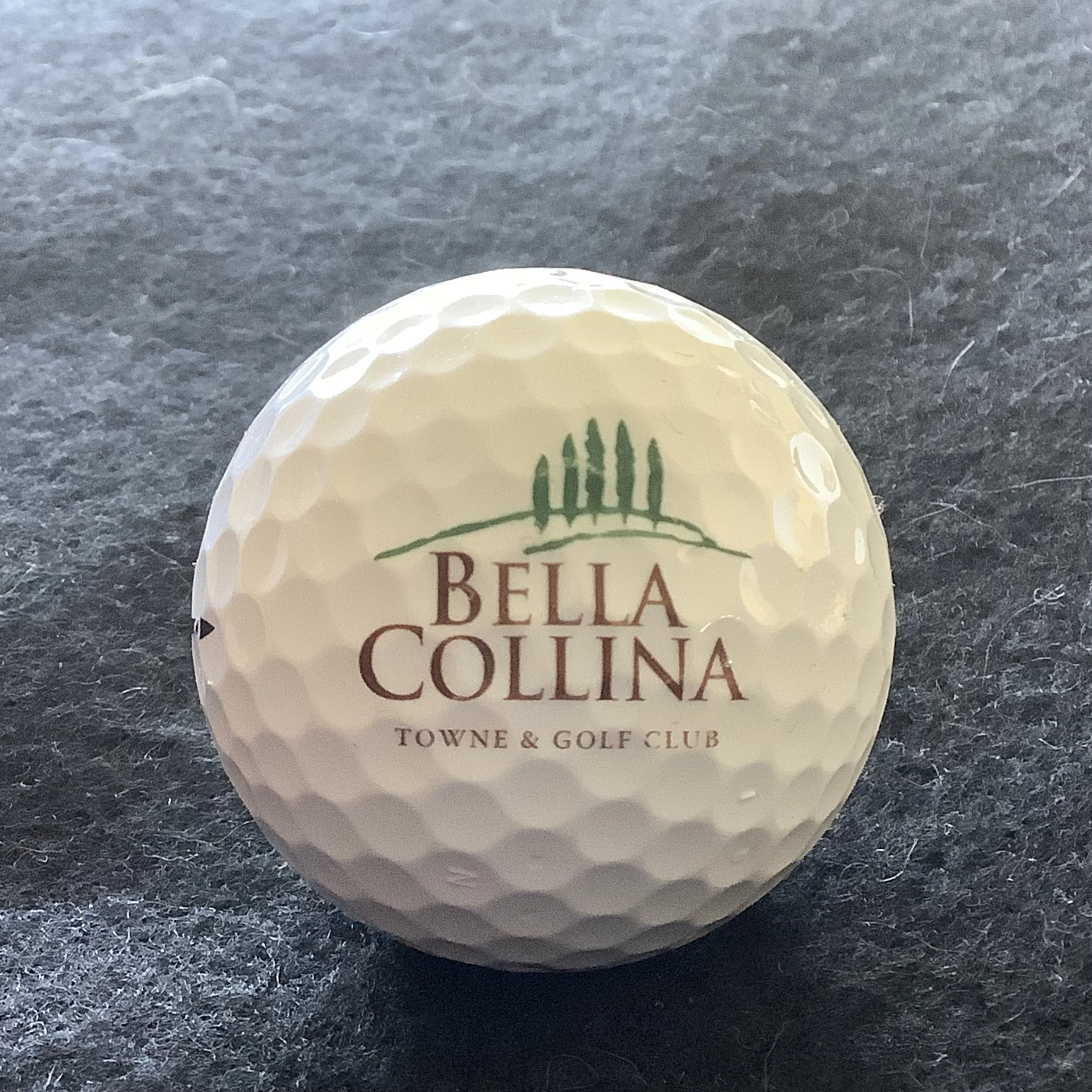 Bella Collina Towne and Golf Club 