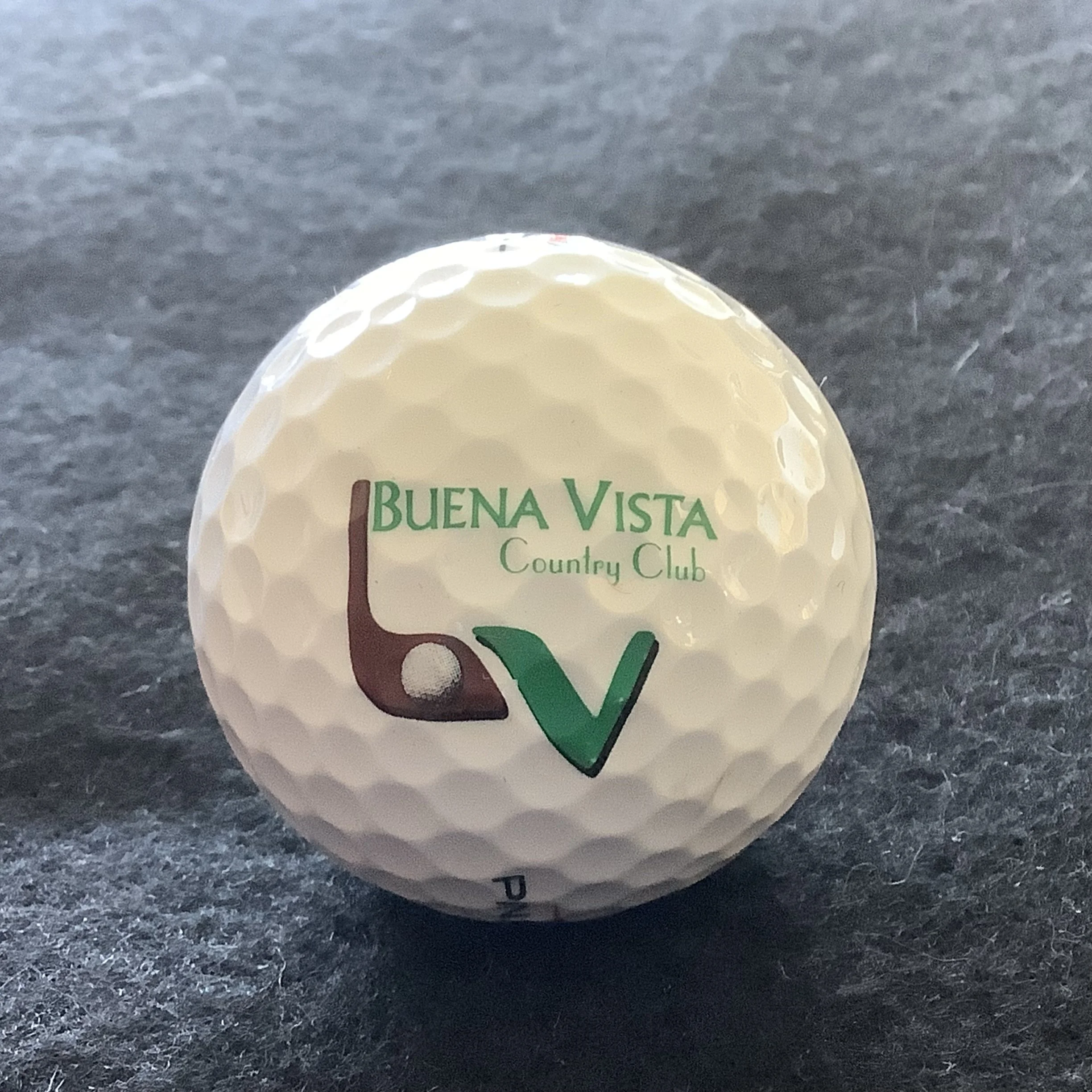 Buena Vista Country Club 