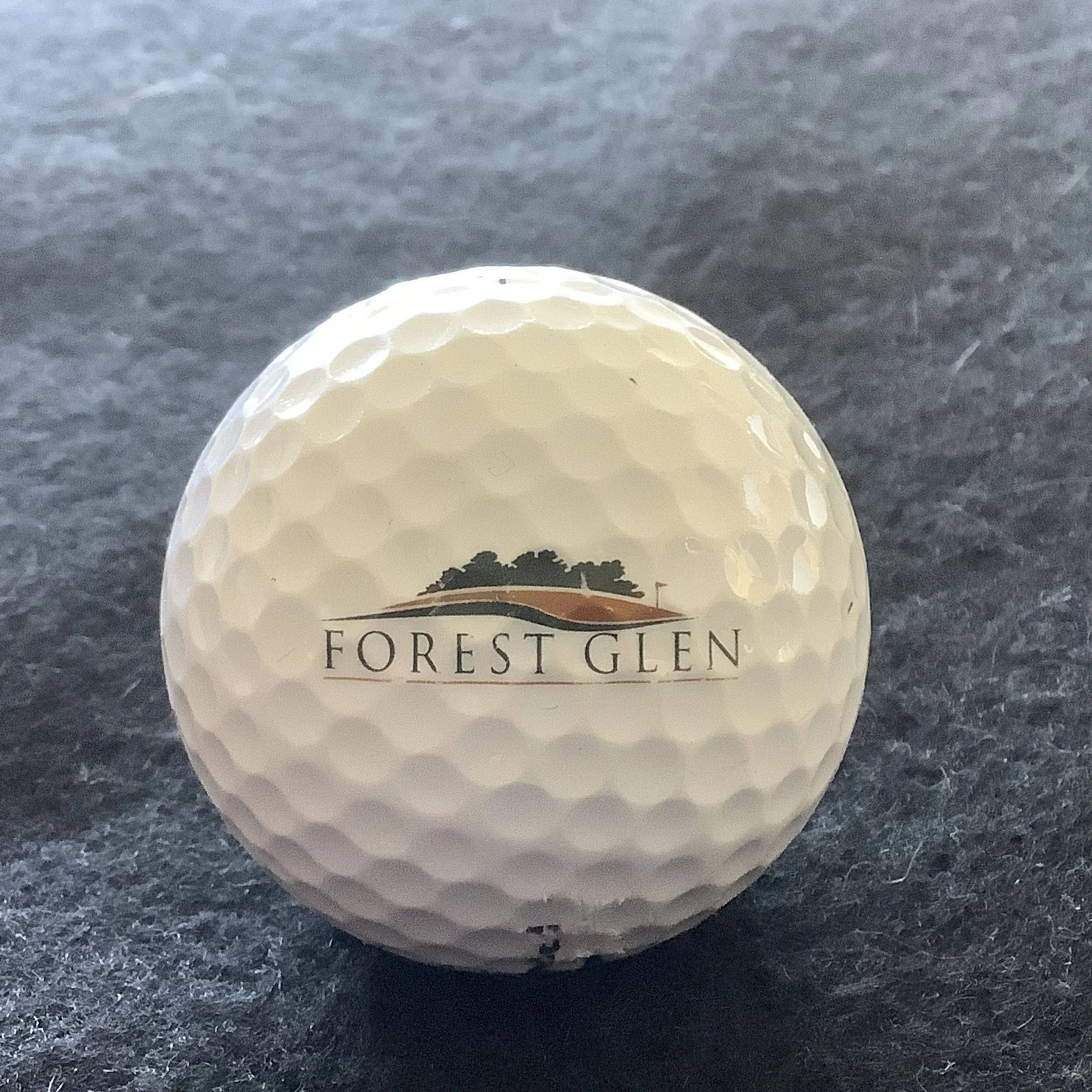 Forest Glen Golf and Country Club 