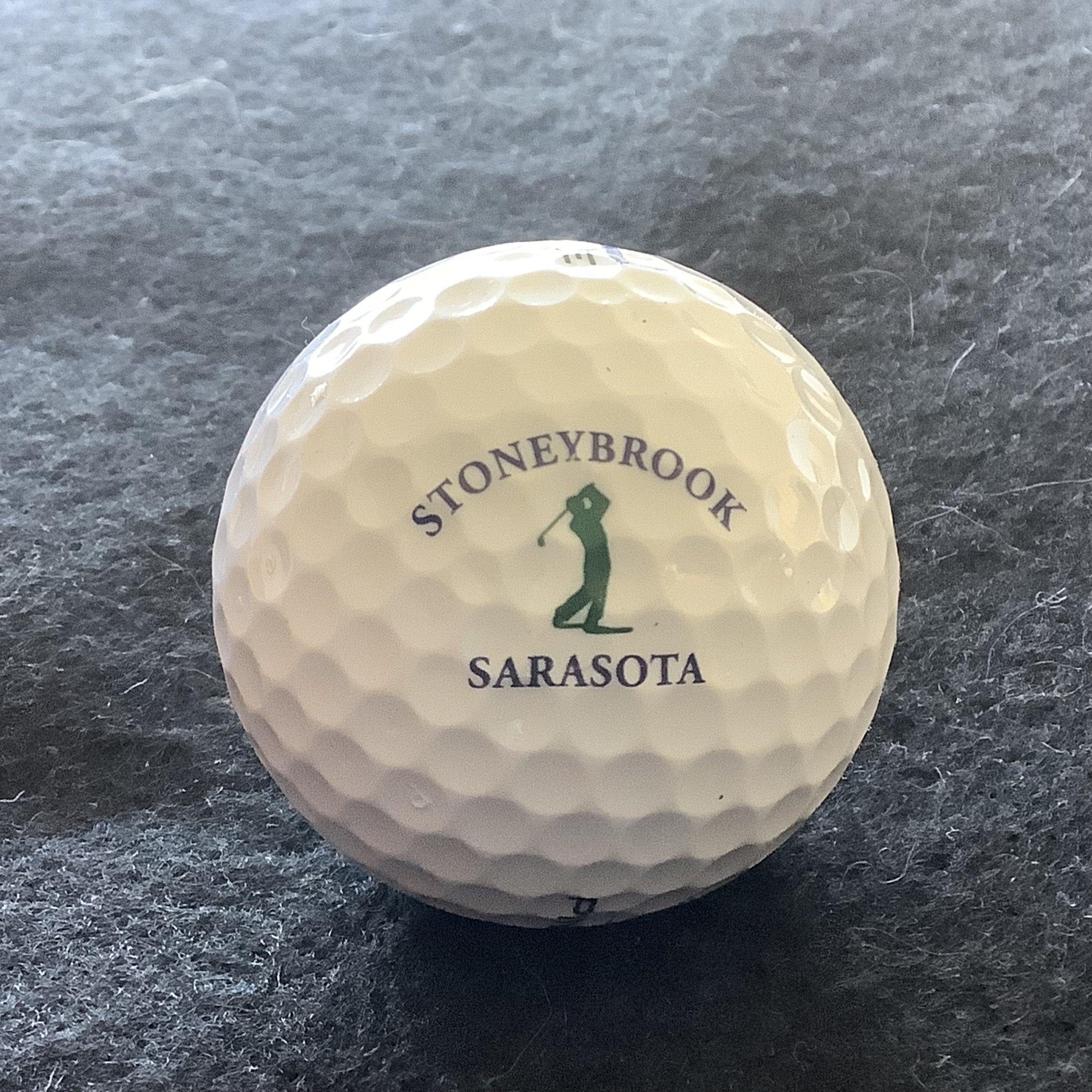 Stoneybrook - Golf and Country Club of Stoneybrook