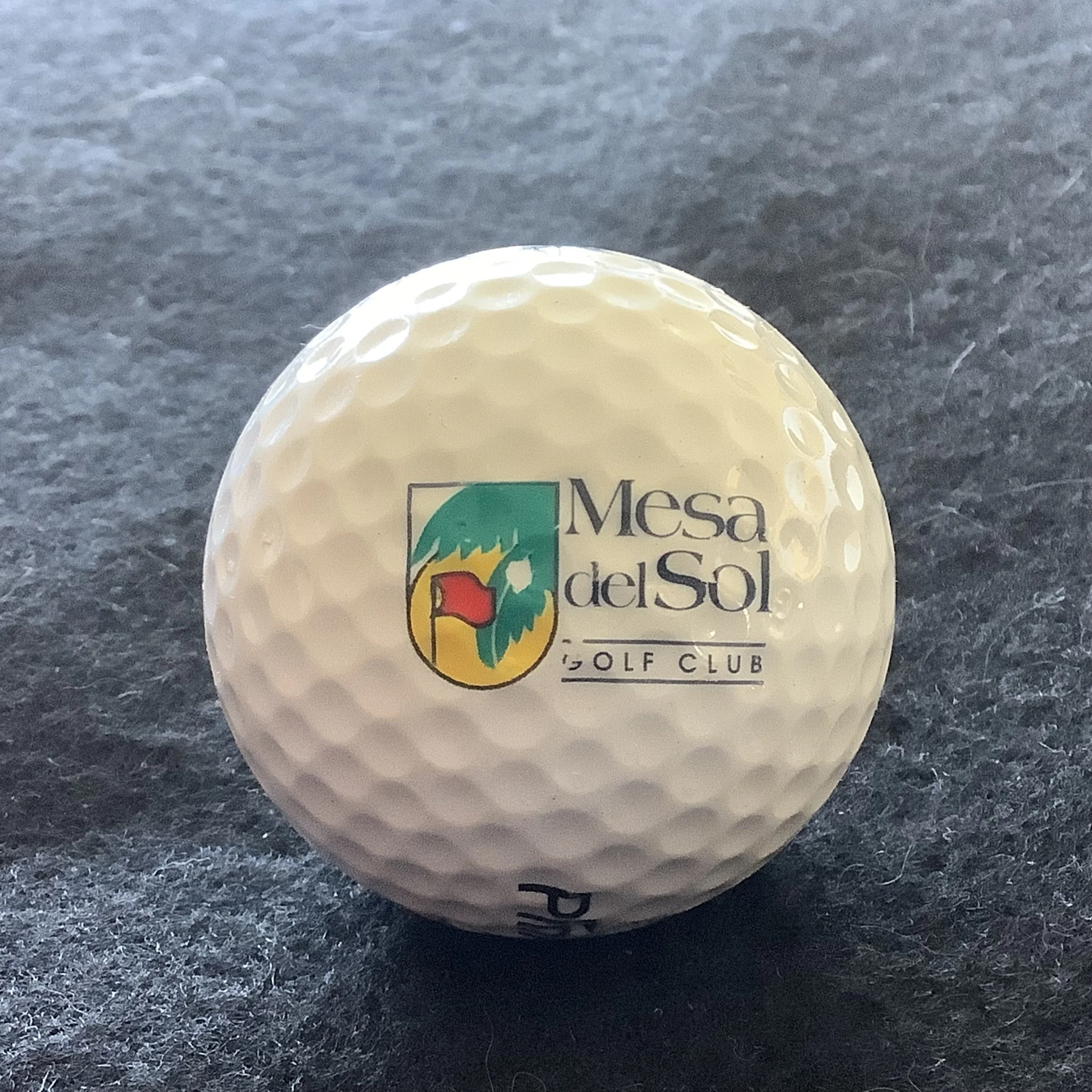 Mesa del Sol Golf Club 