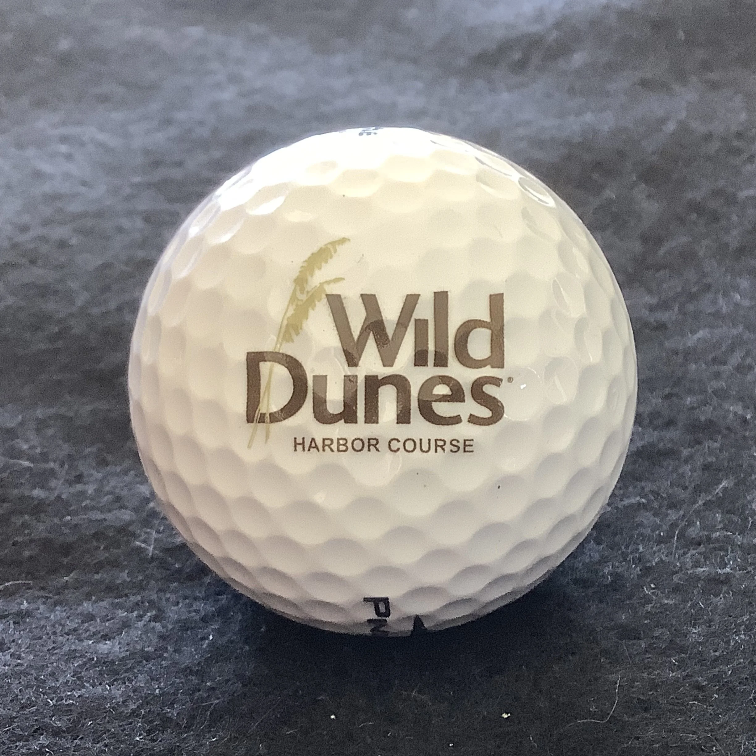Wild Dunes Harbor Course 