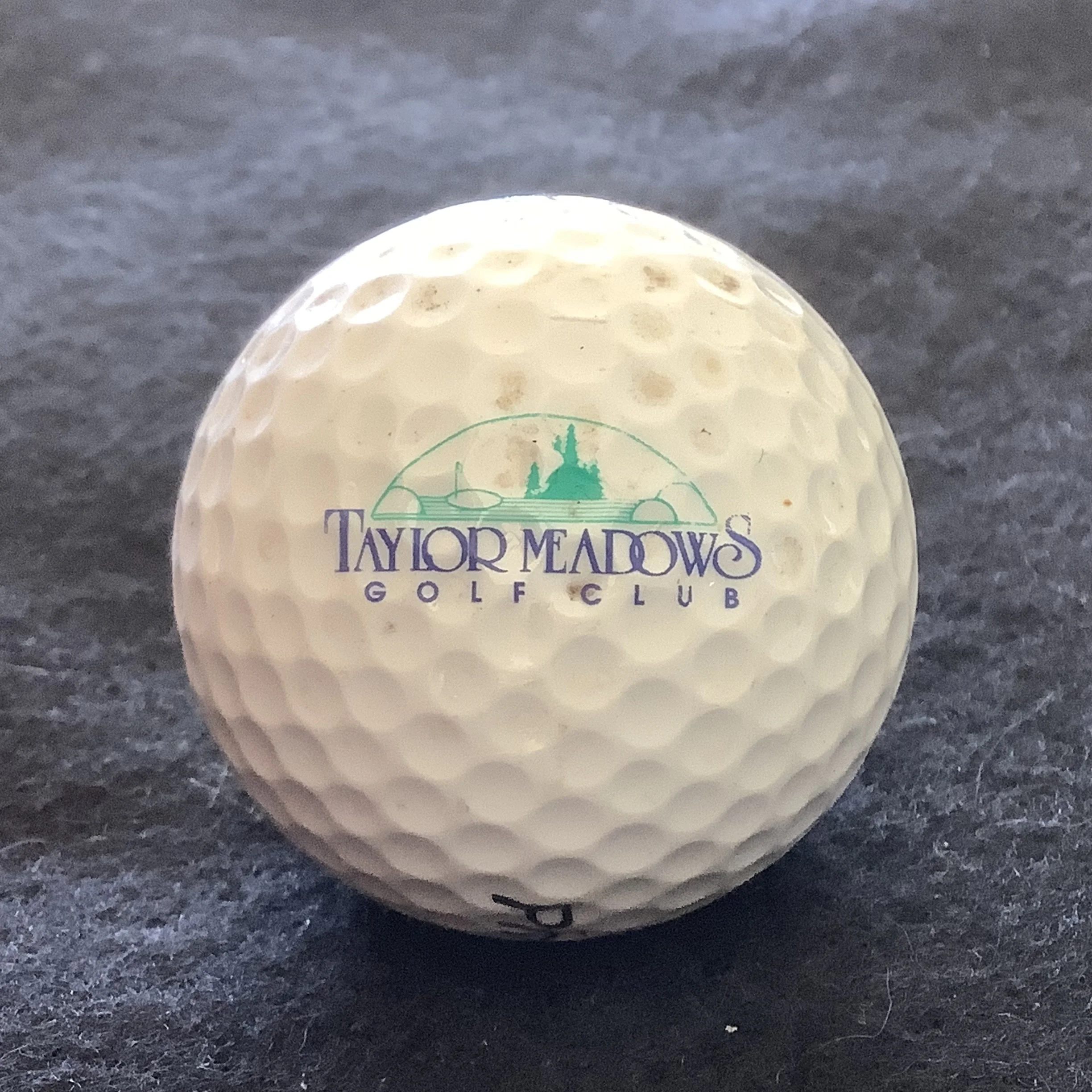 Taylor Meadows Golf Club 