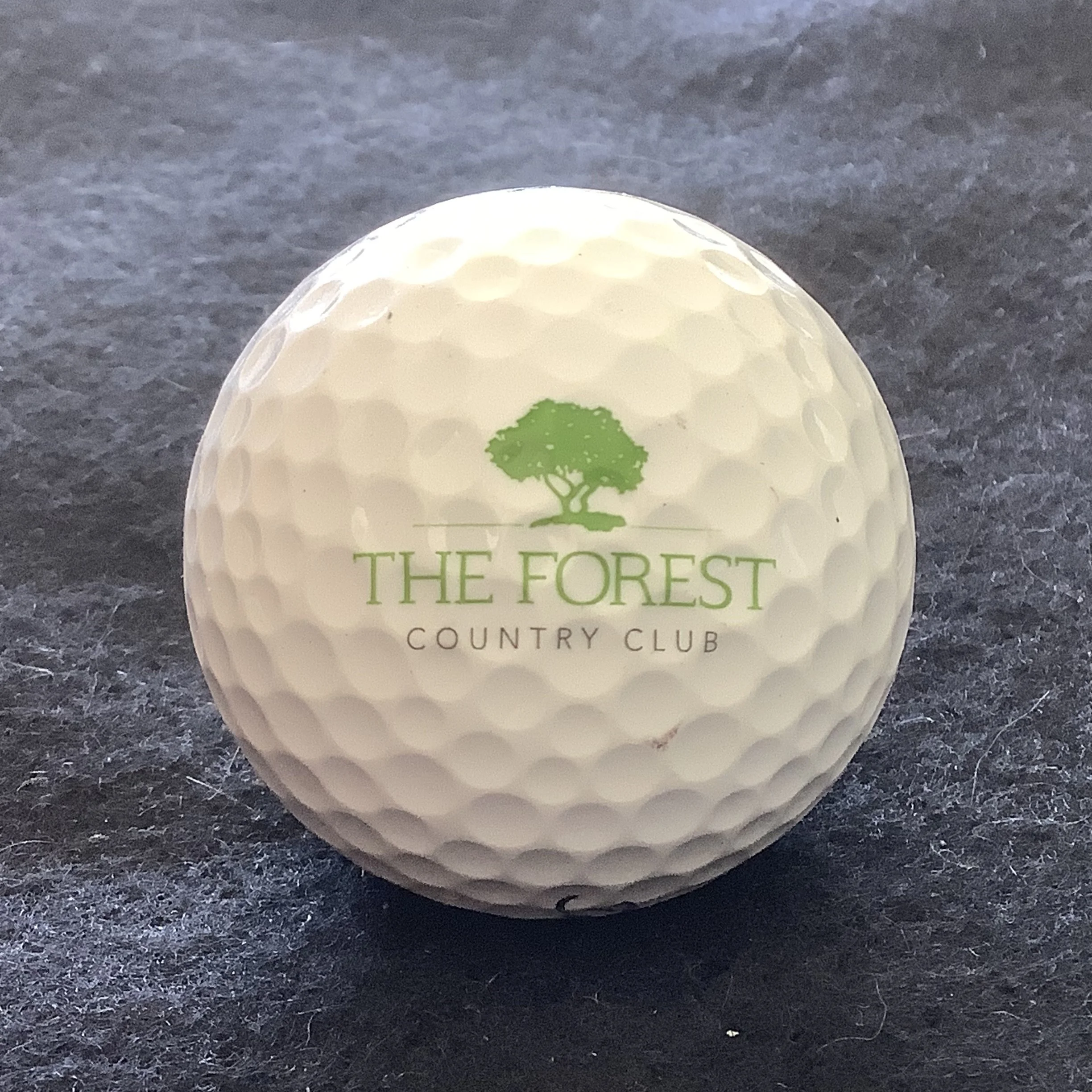Forest - The Forest Country Club 