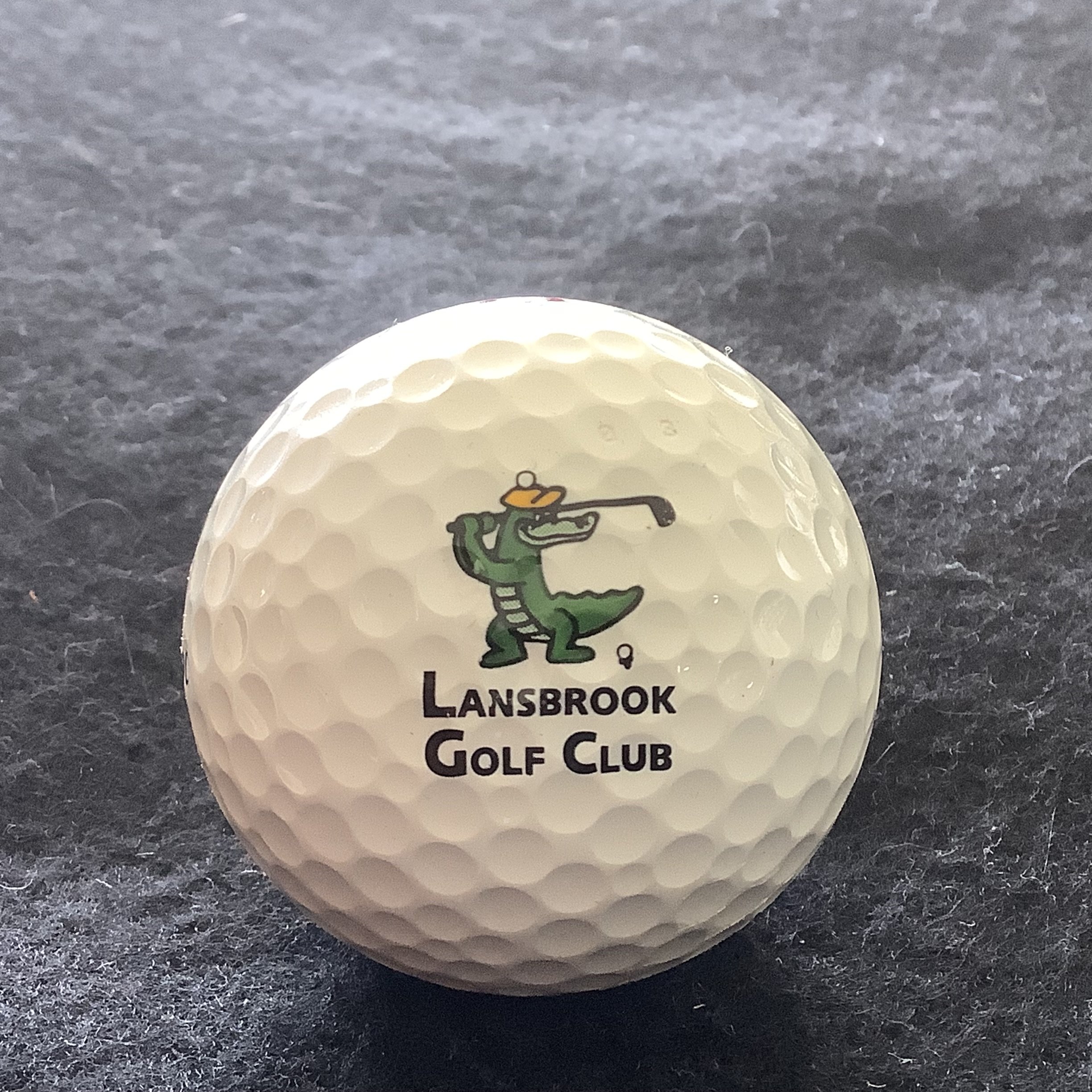 Lansbrook Golf Club 