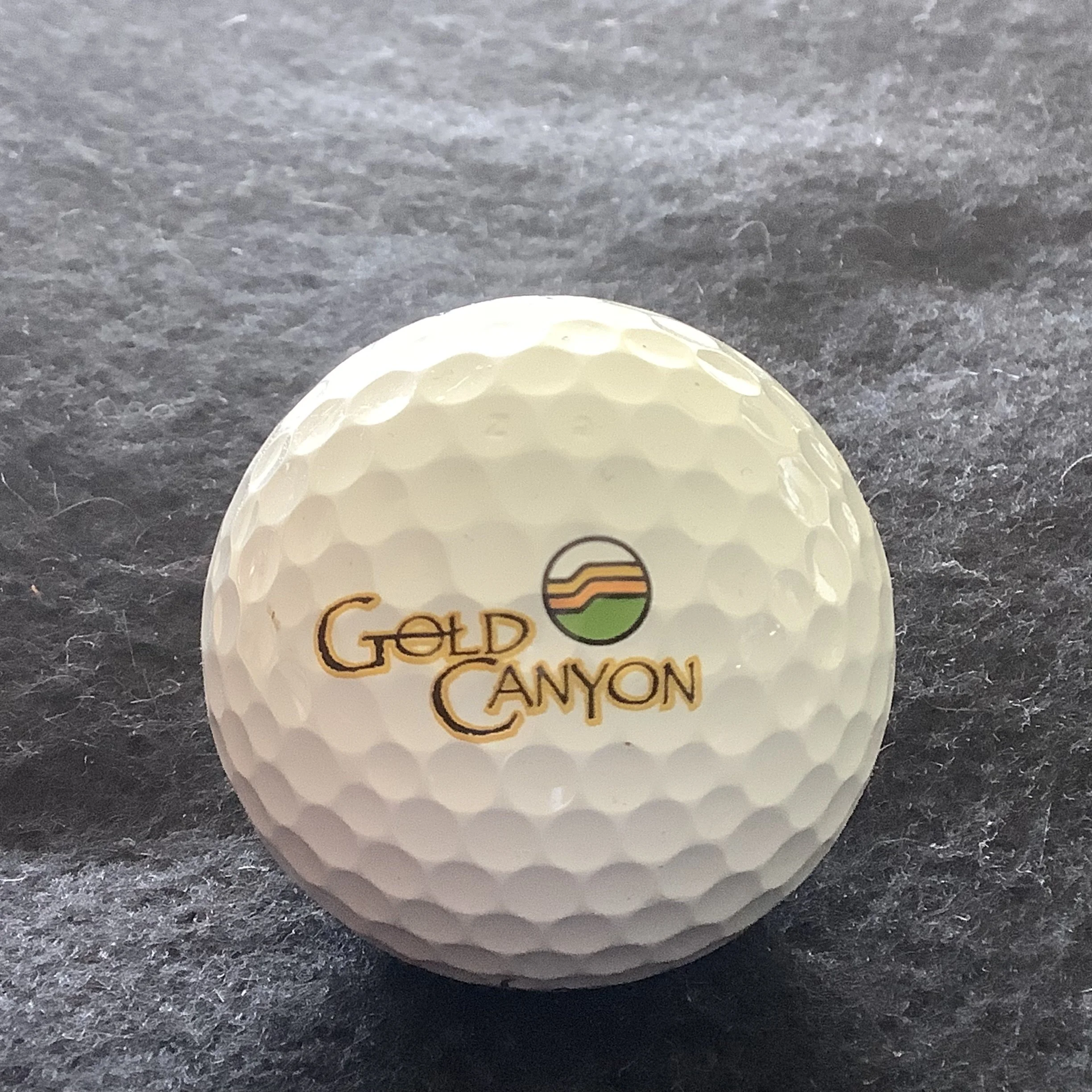 Gold Canyon Golf Resort 