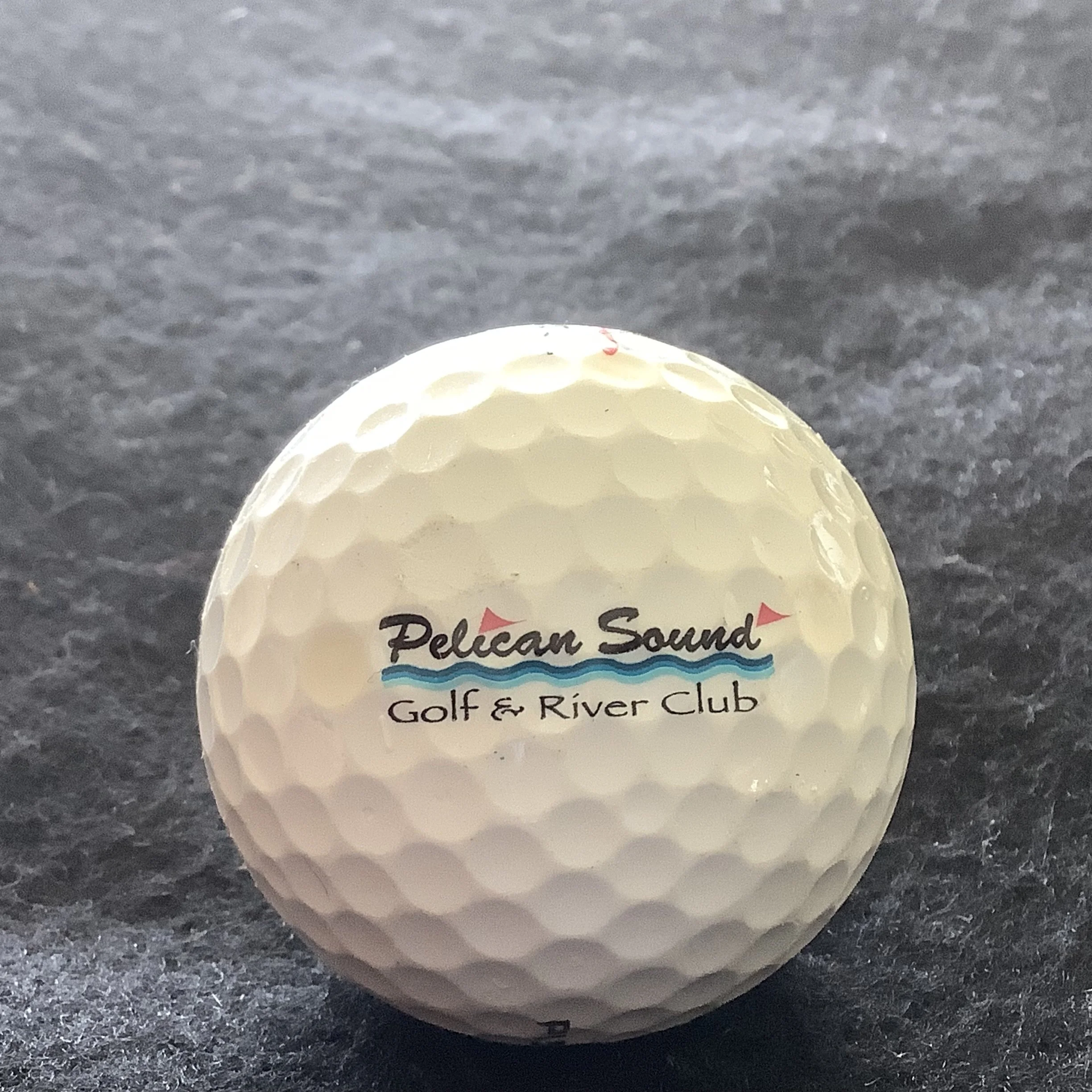 Pelican Sound Golf and River Club 