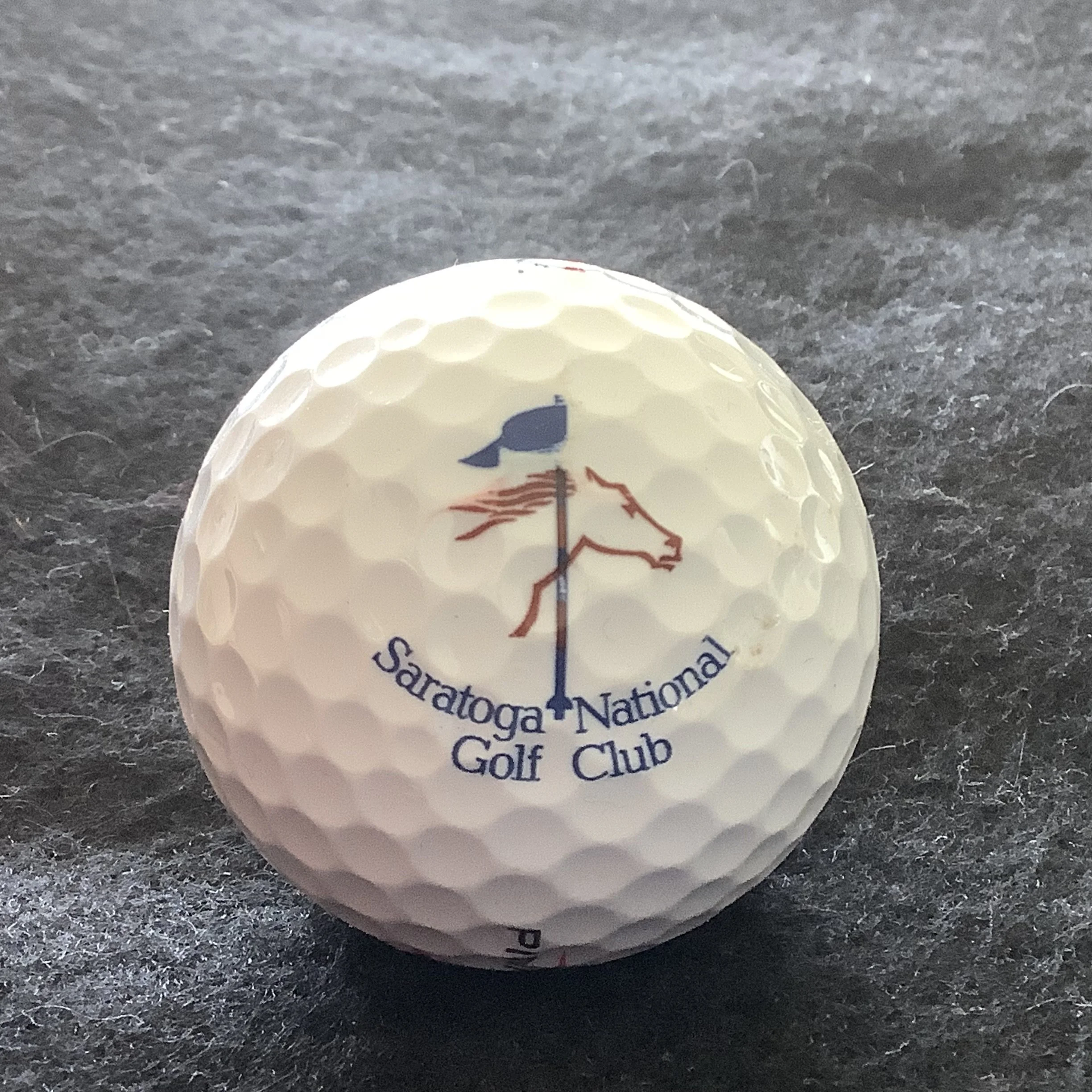 Saratoga National Golf Club 