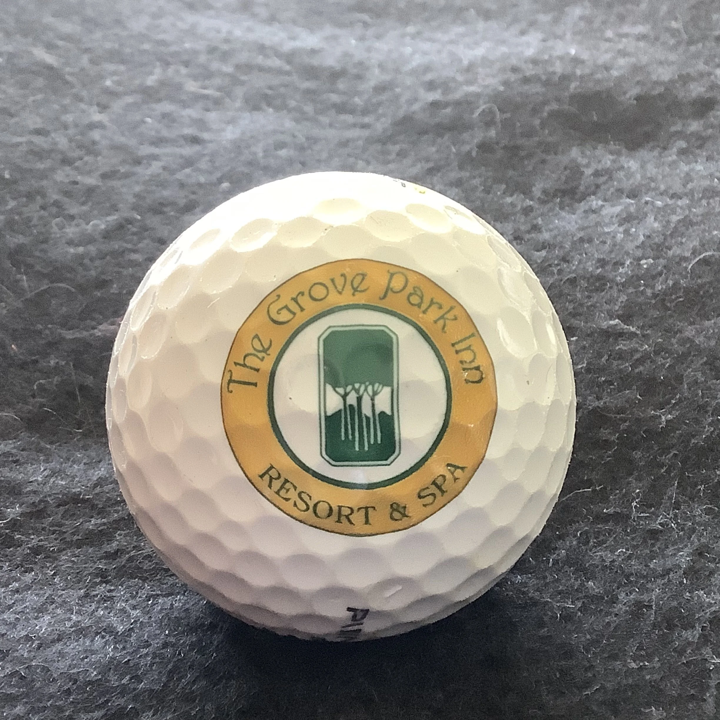 Grove Park - The Grove Park Inn Resort and Spa 