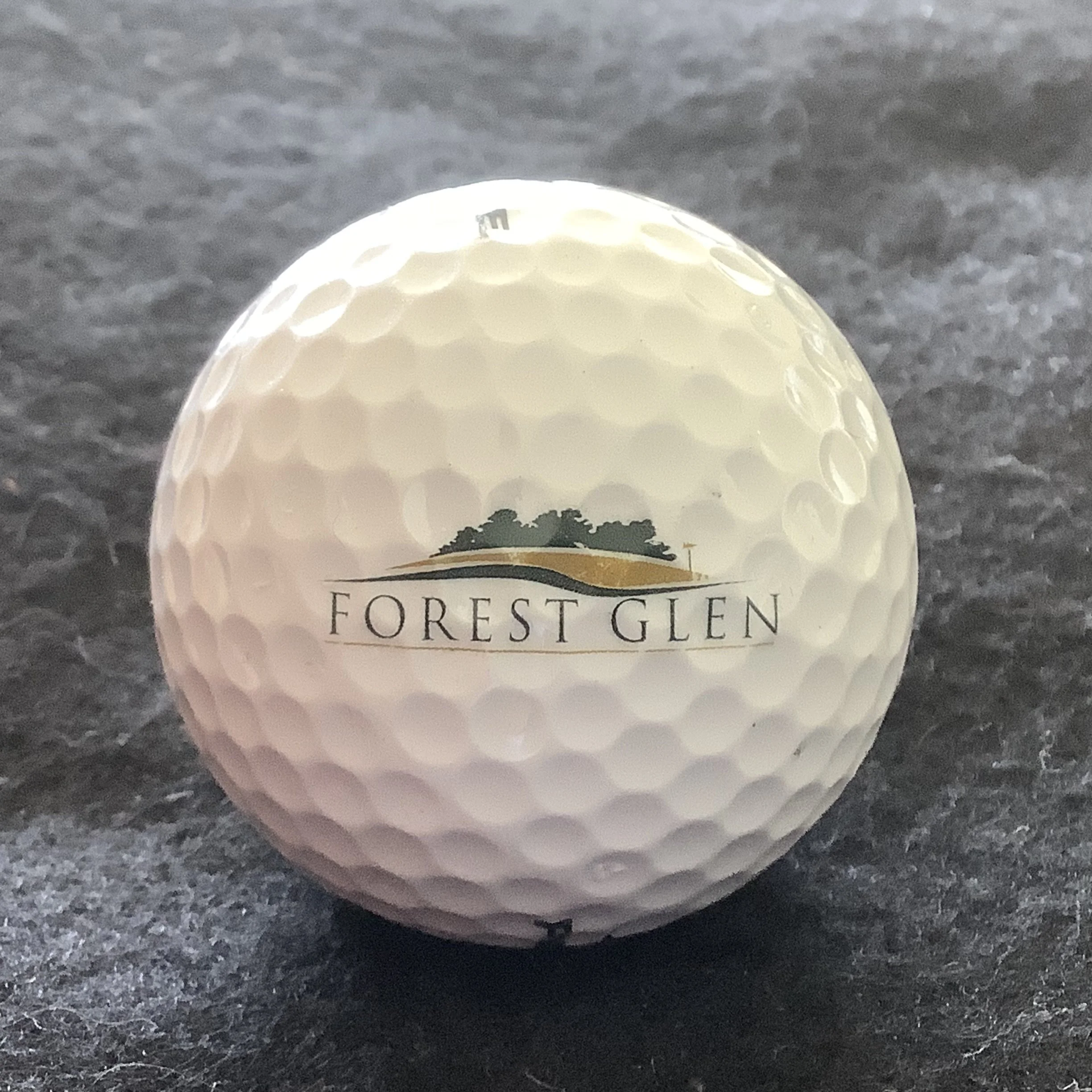 Forest Glen Golf and Country Club 