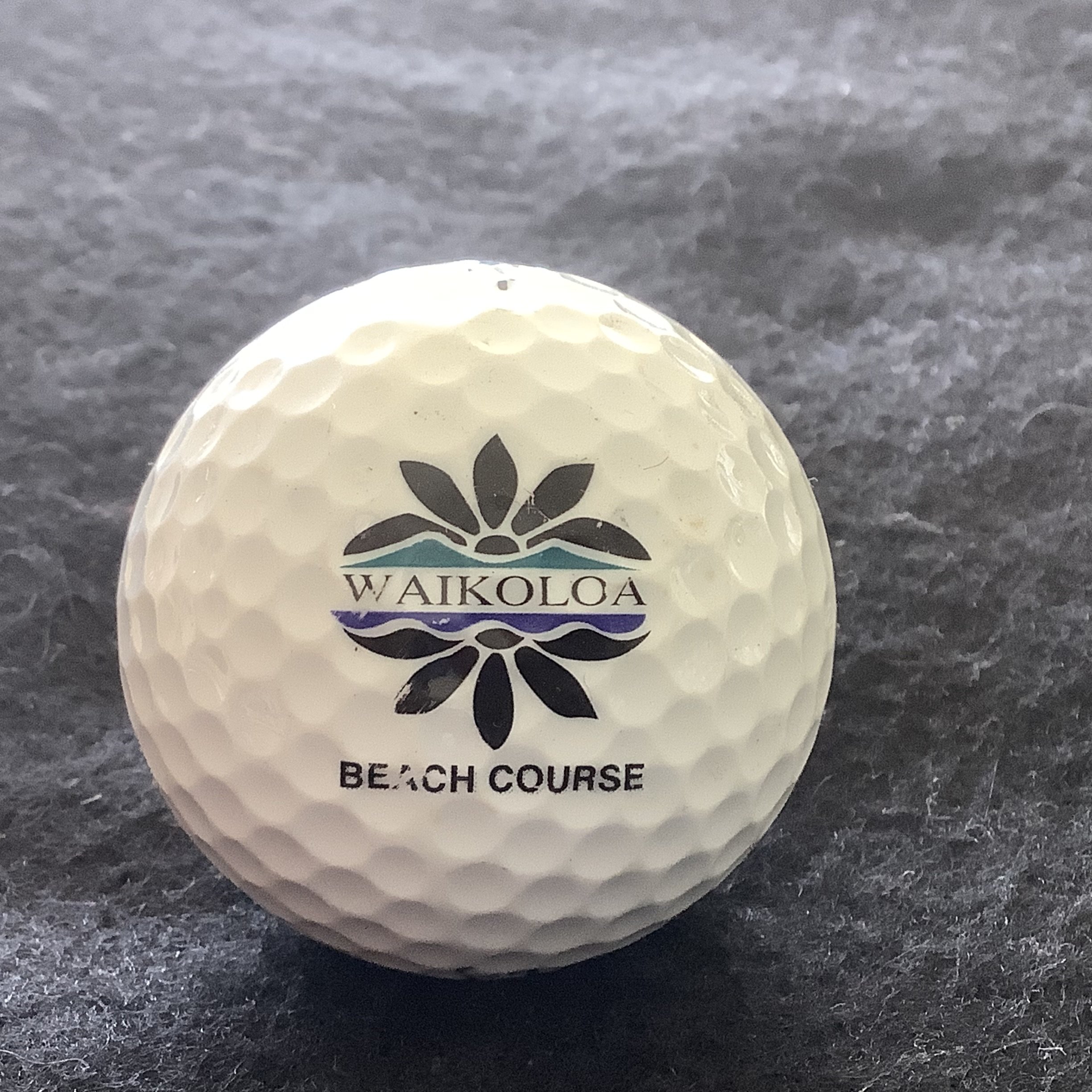 Waikoloa Beach Course 