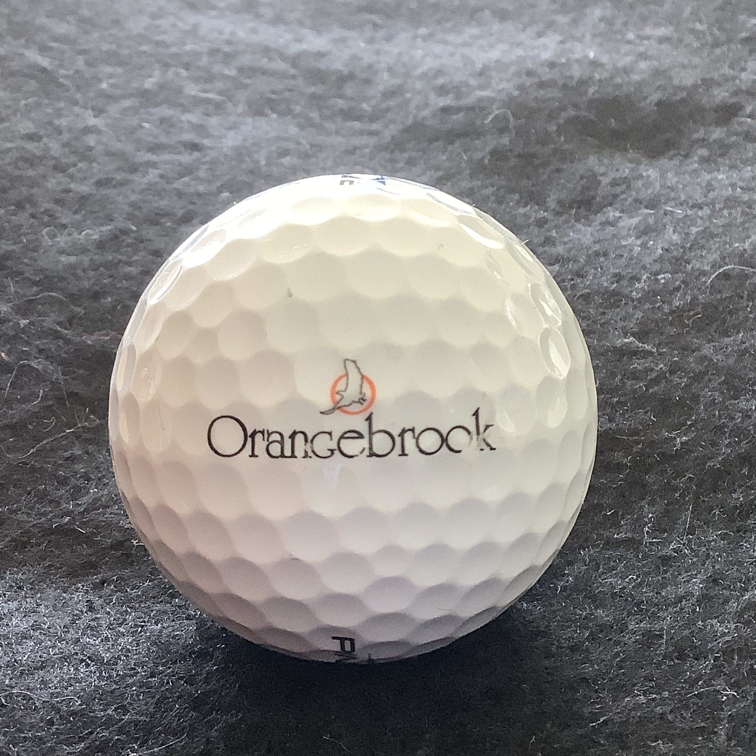 Orangebrook Golf and Country Club 