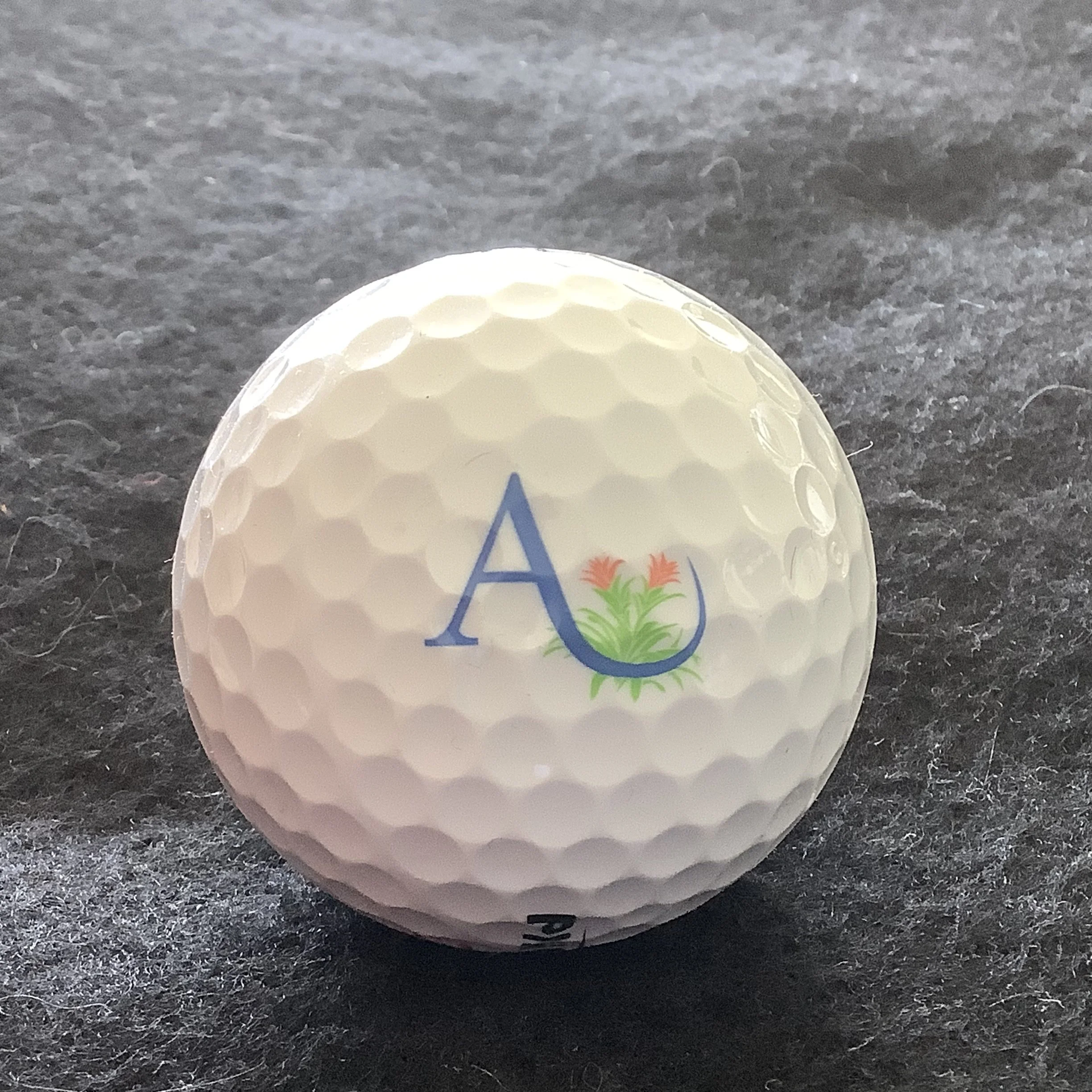 Audubon Country Club 