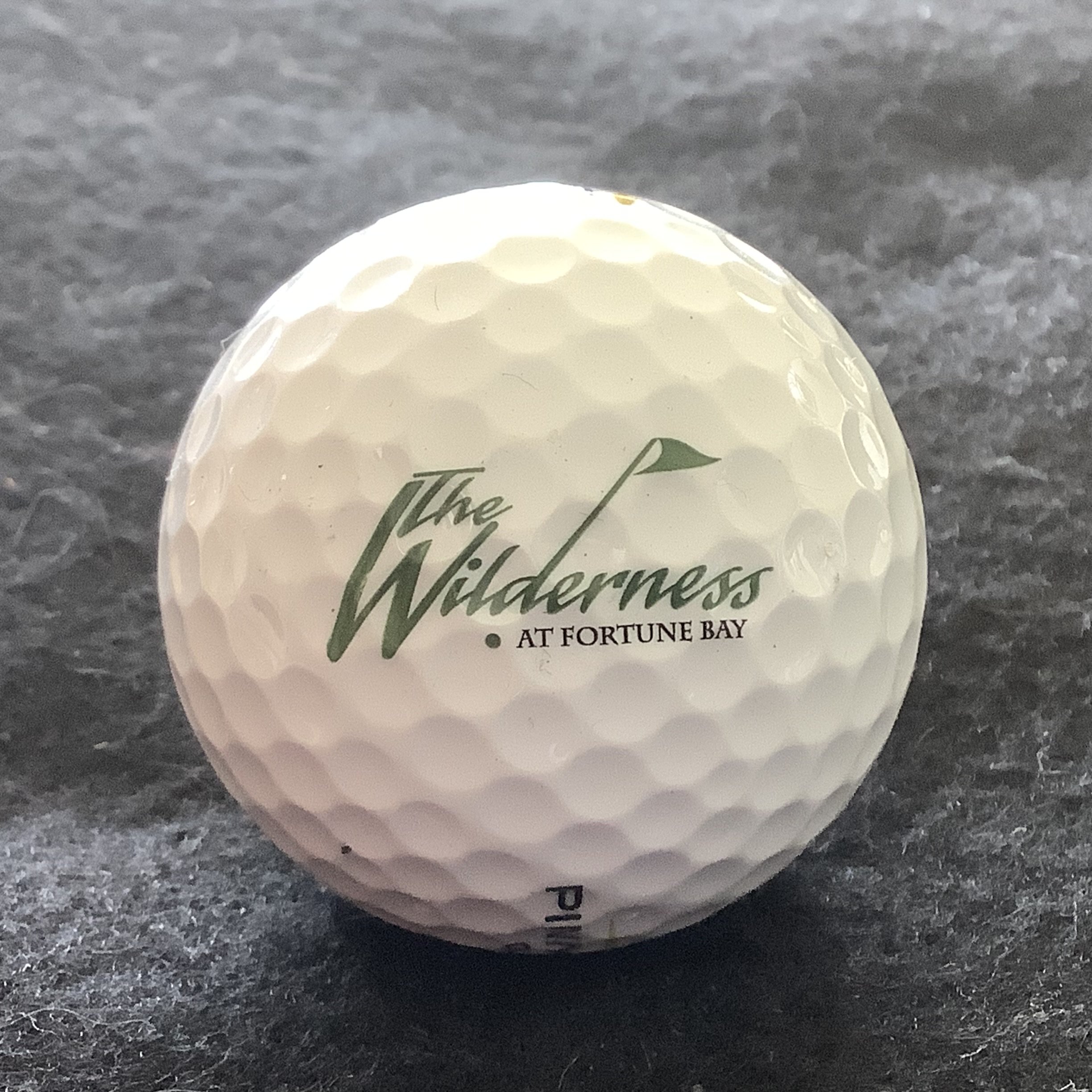 Wilderness - The Wilderness at Fortune Bay 