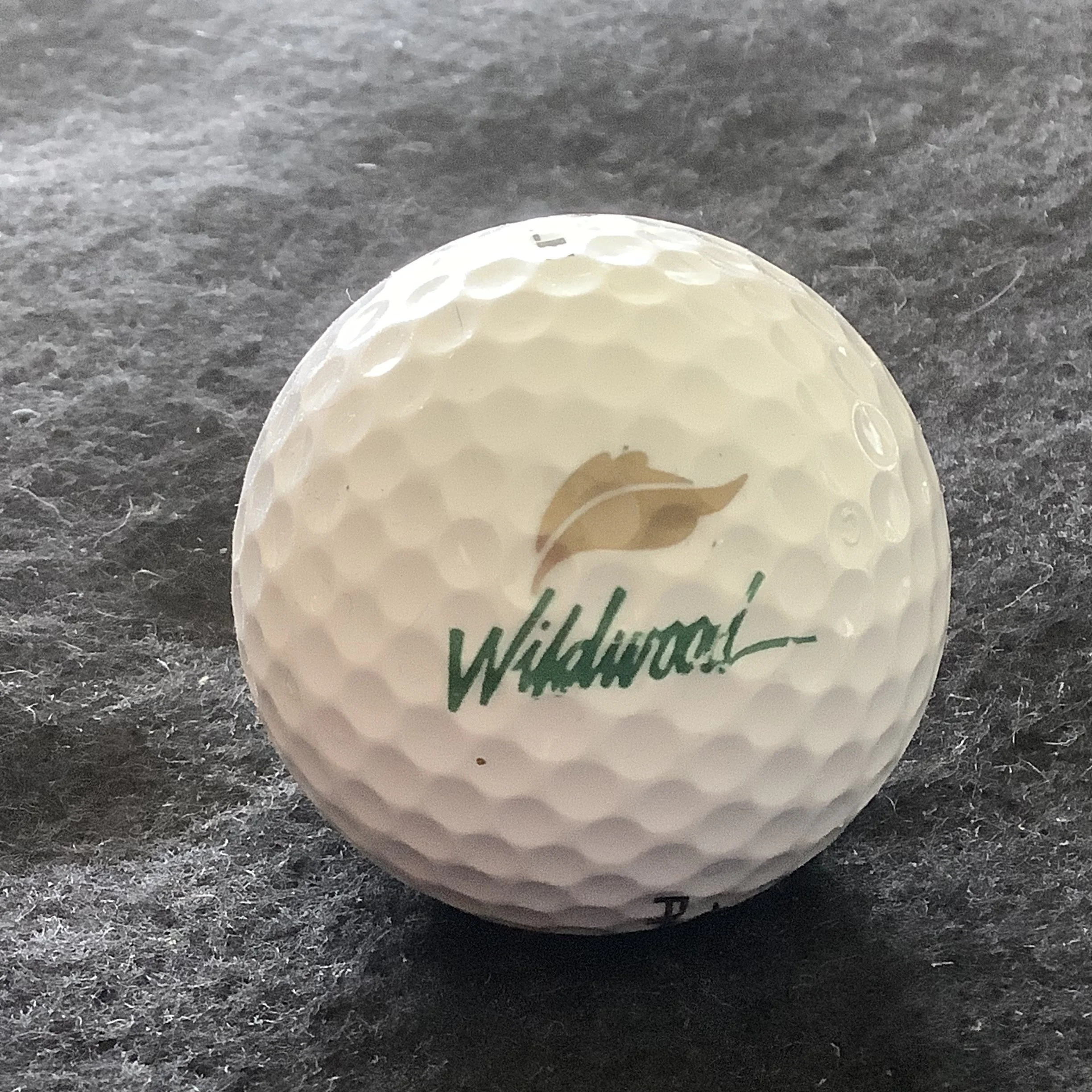 Wildwood Golf and RV Resort 