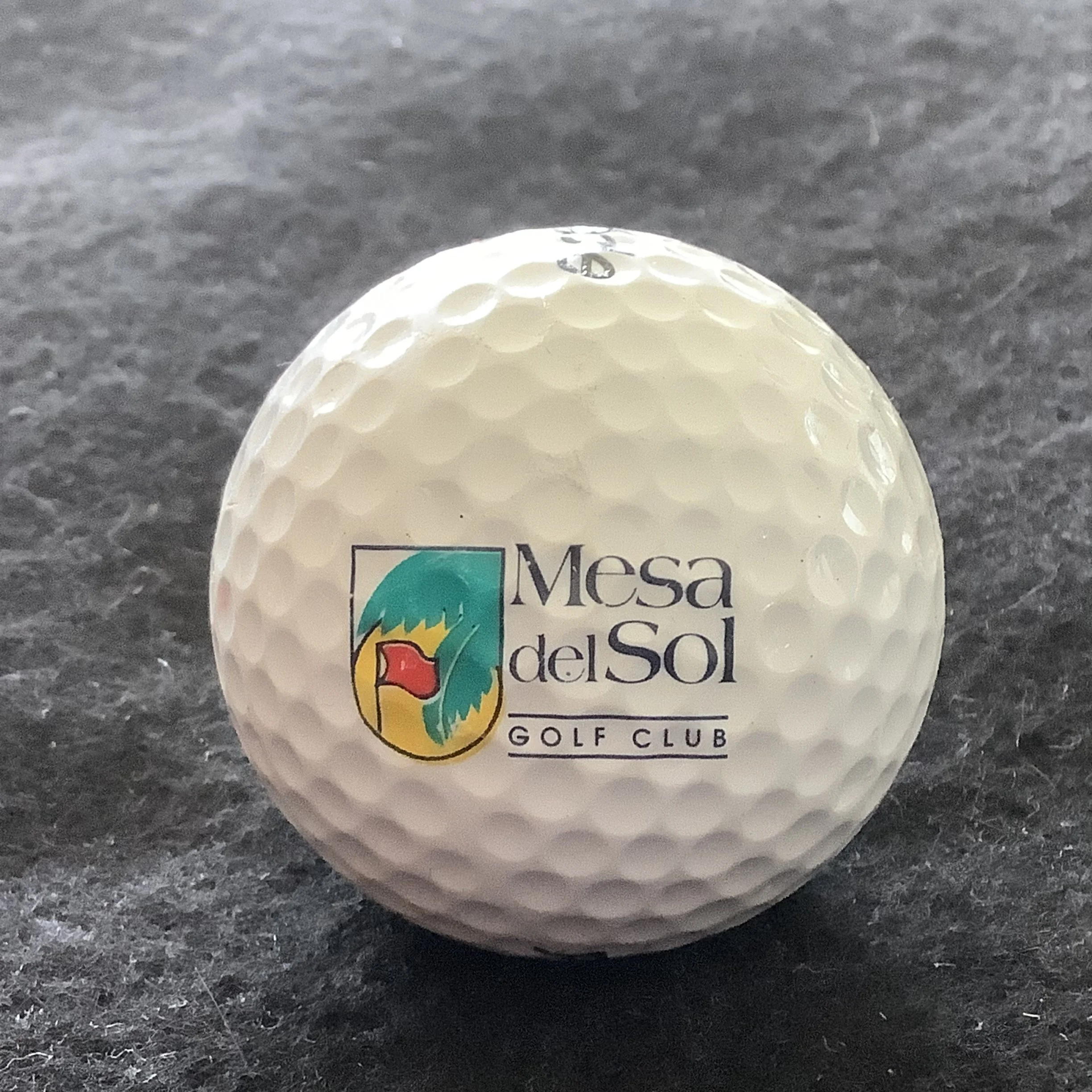 Mesa Del Sol Golf Club 