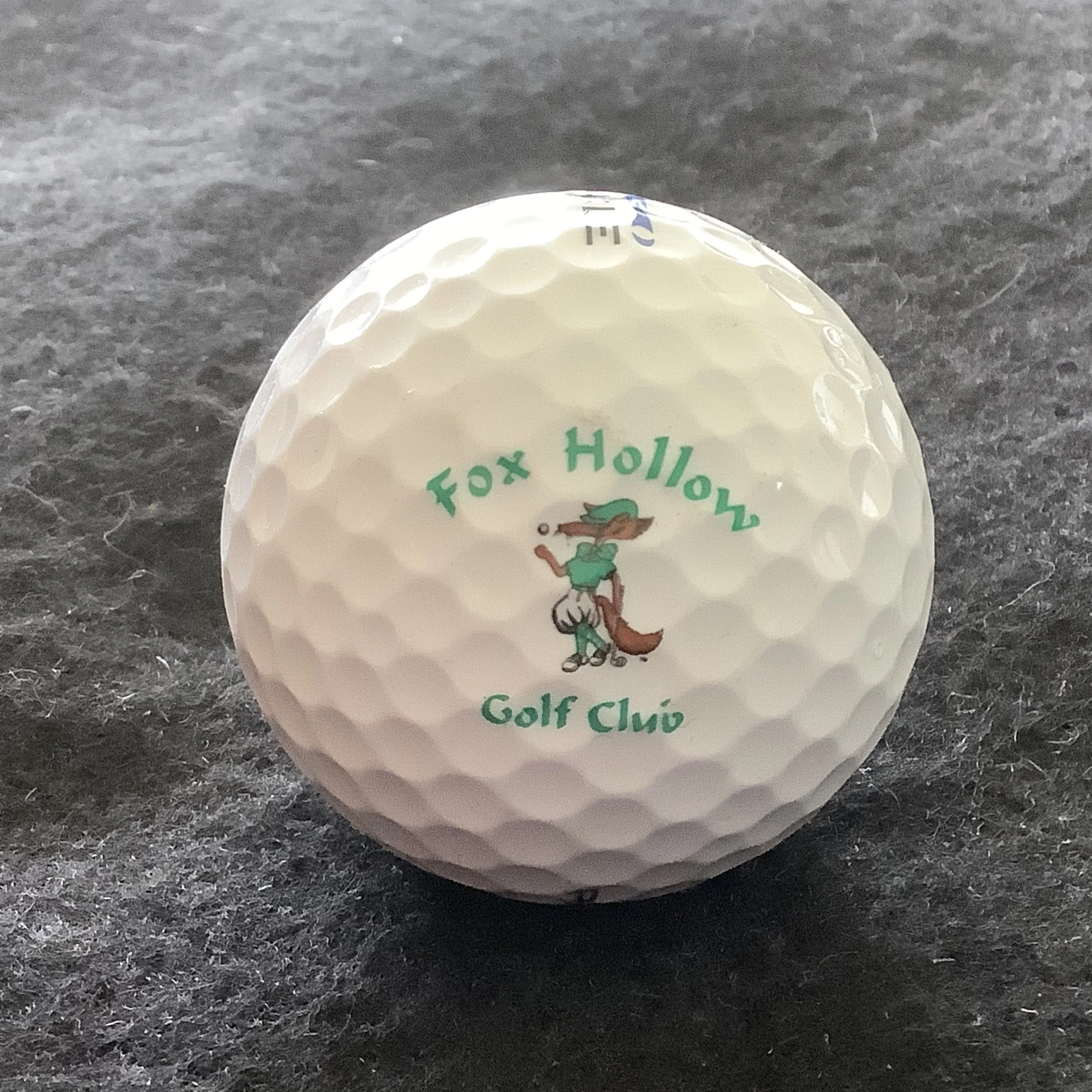 Fox Hollow Golf Club 