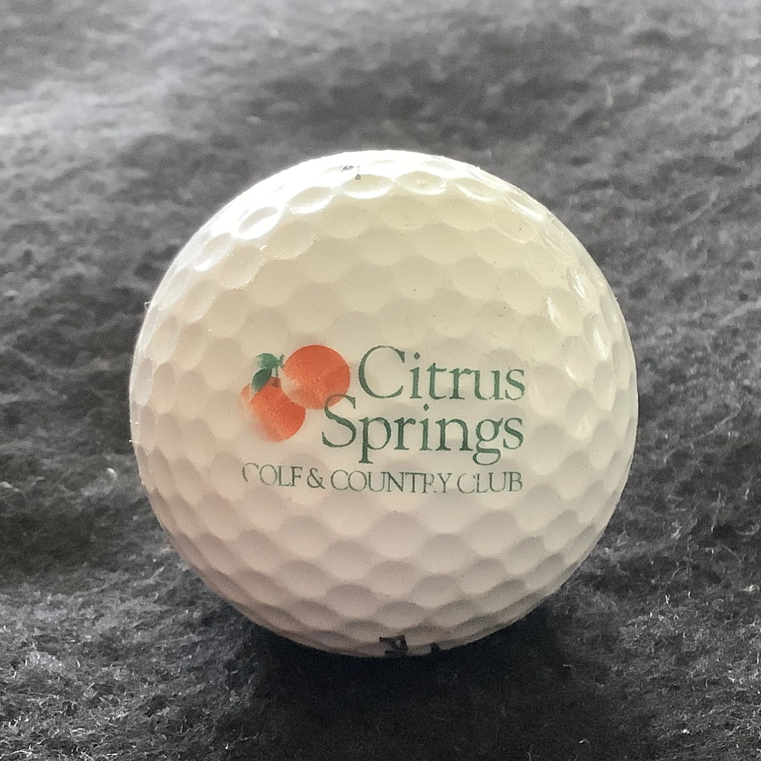 Citrus Springs Golf and Country Club 