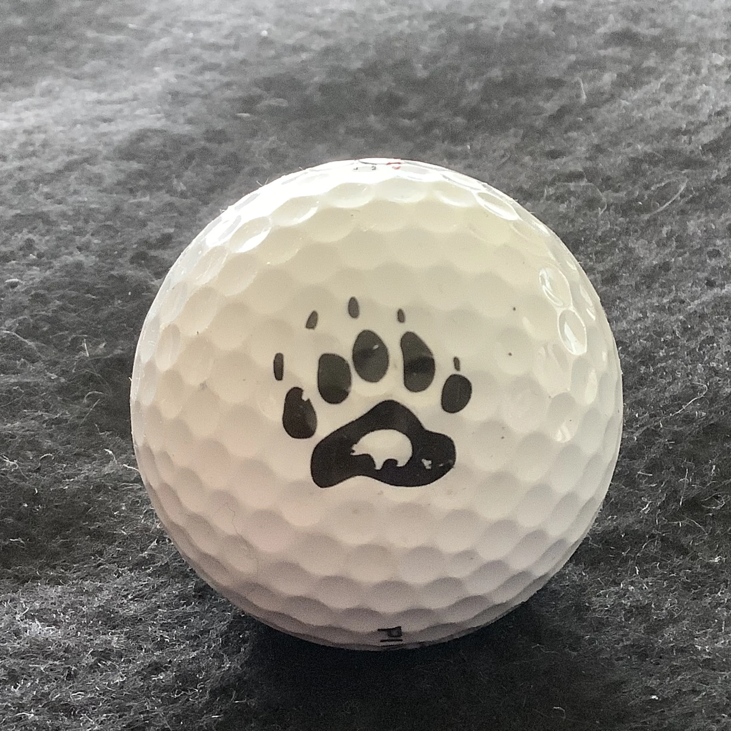 Grand Bear Golf Club 