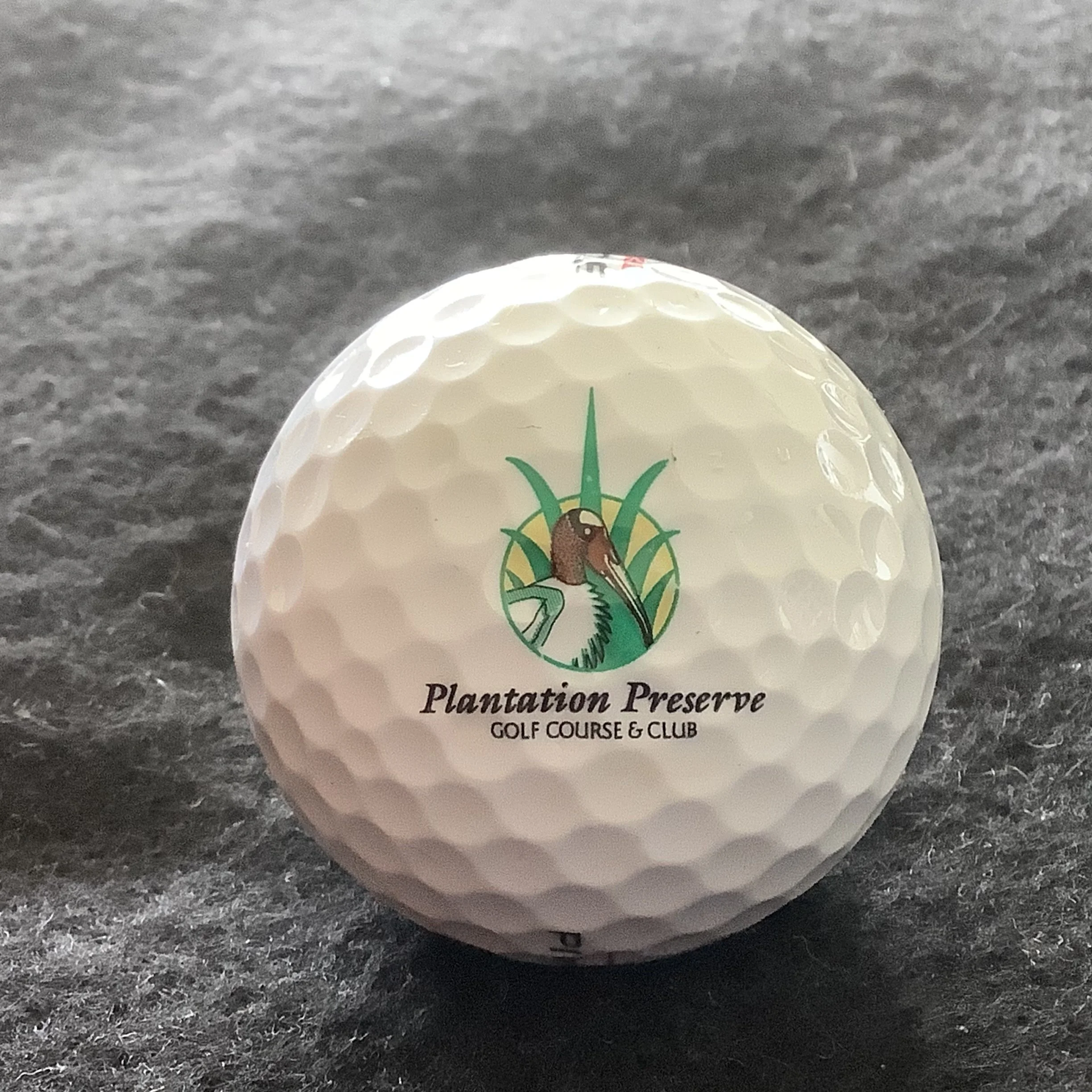 Plantation Preserve Golf Course and Club 