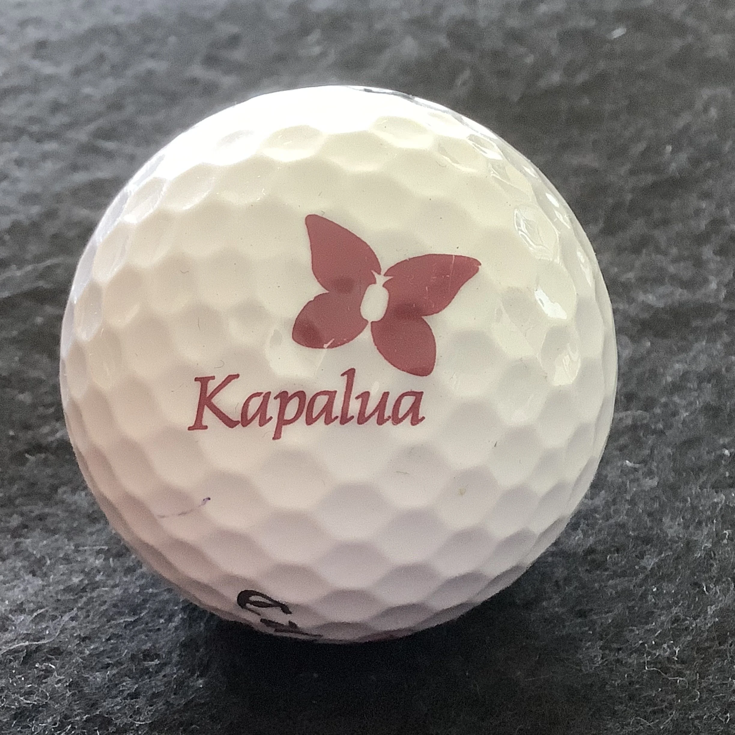 Kapalua Golf Course 