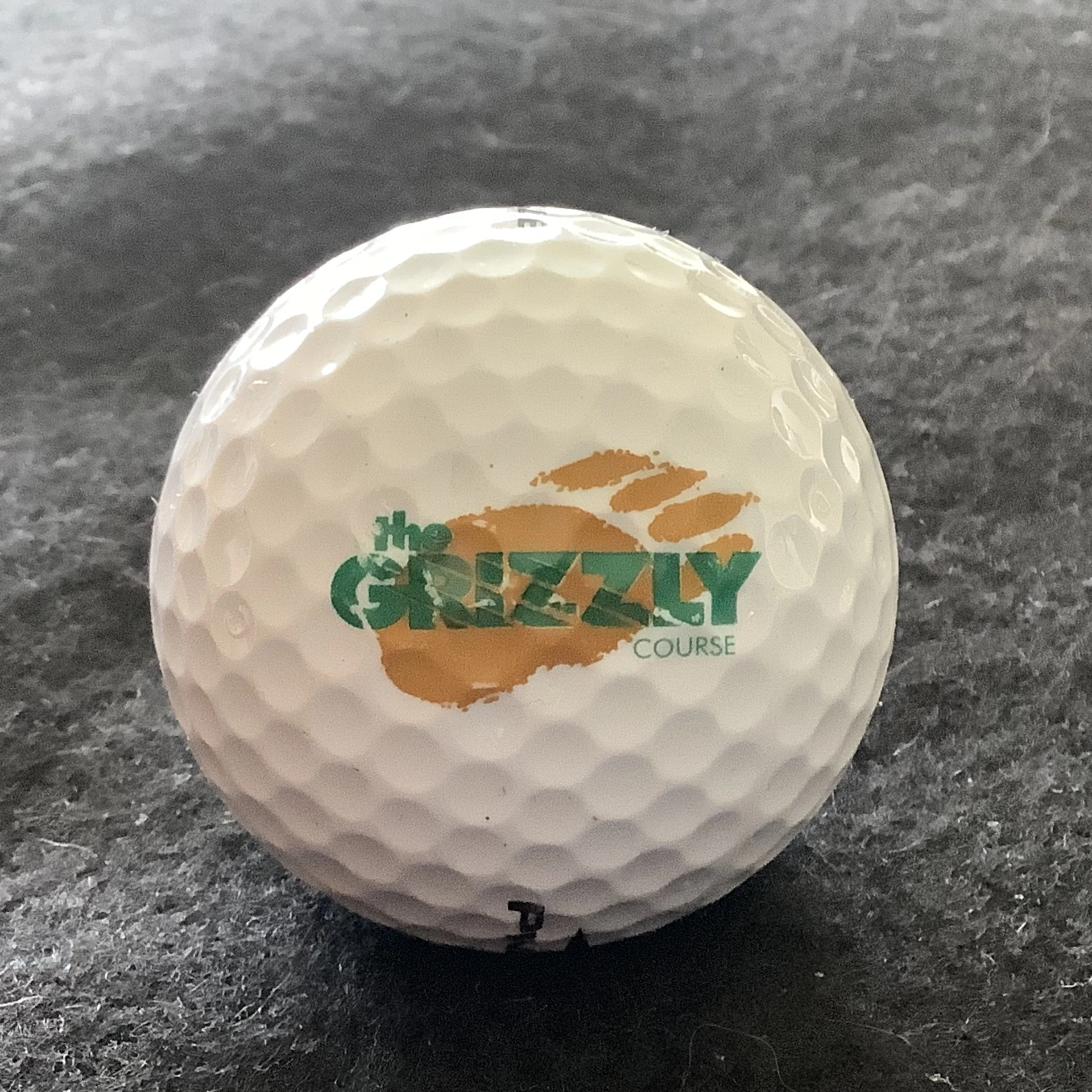 Grizzly - The Grizzly Course