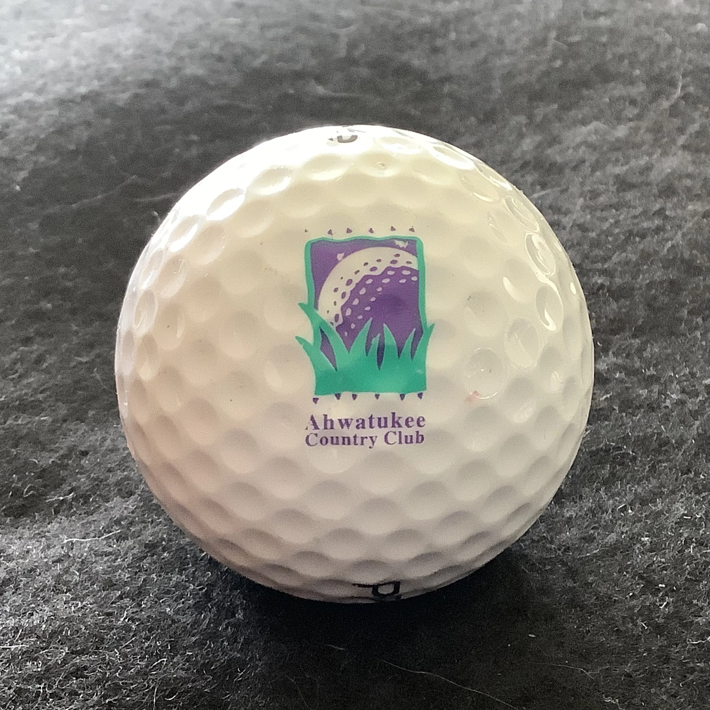 Ahwatukee Country Club 