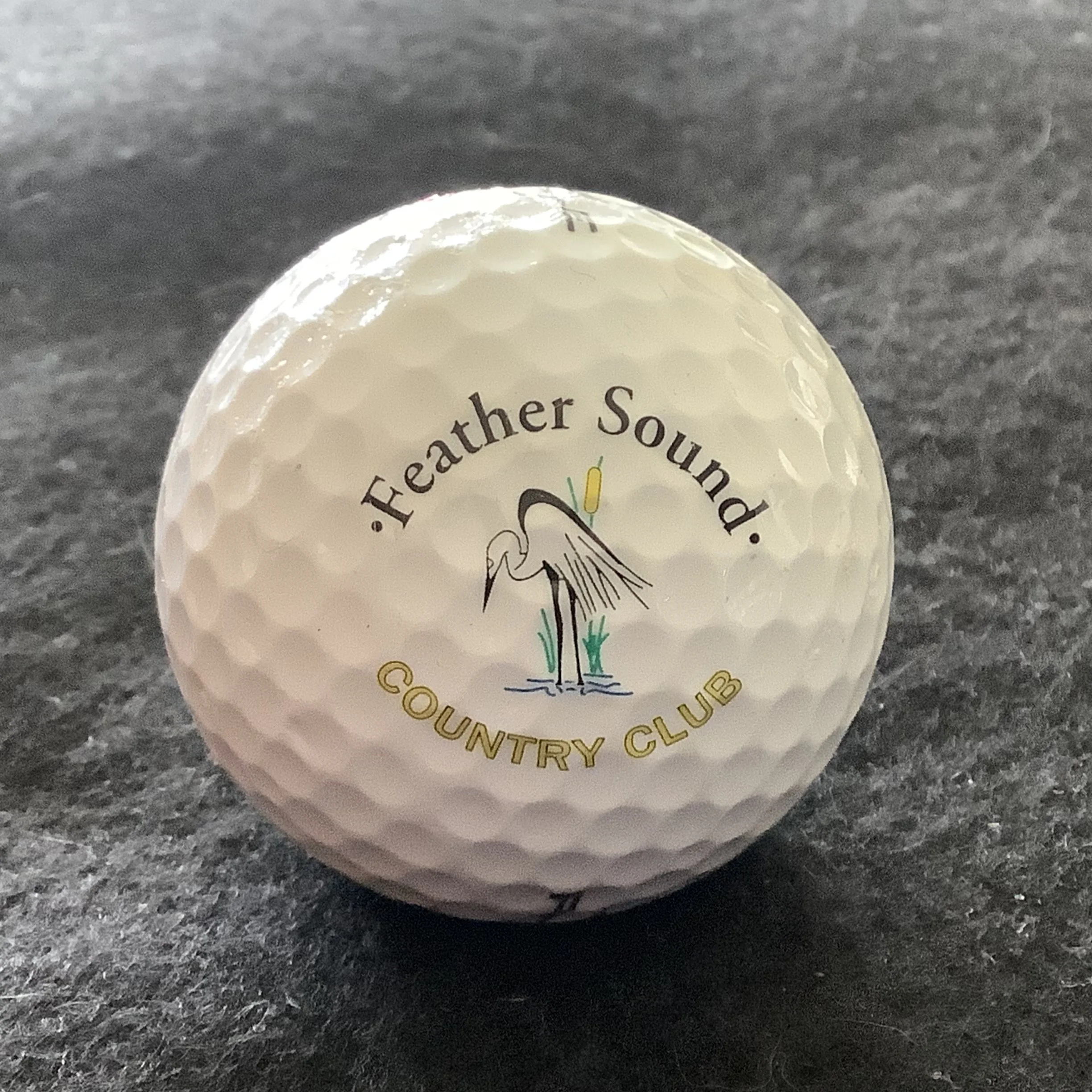 Feather Sound Country Club 