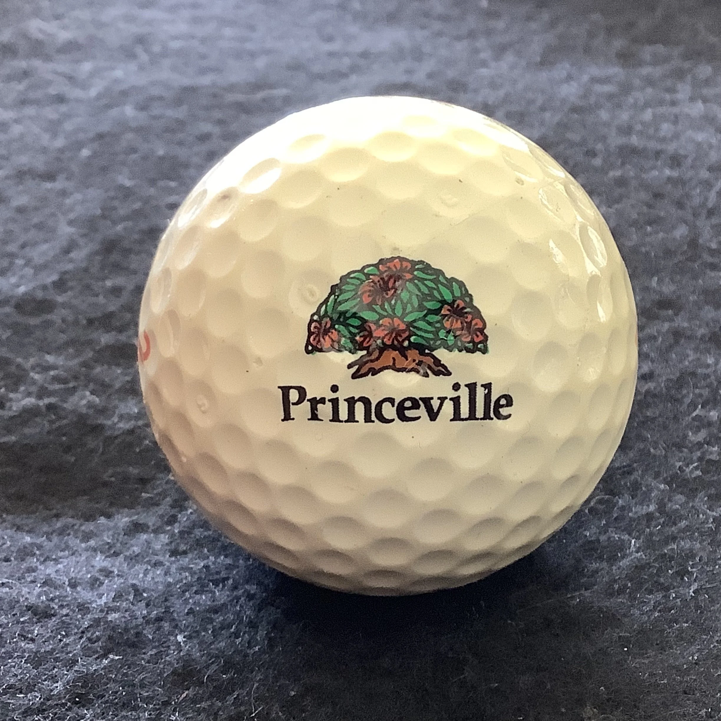 Princeville Golf Course 