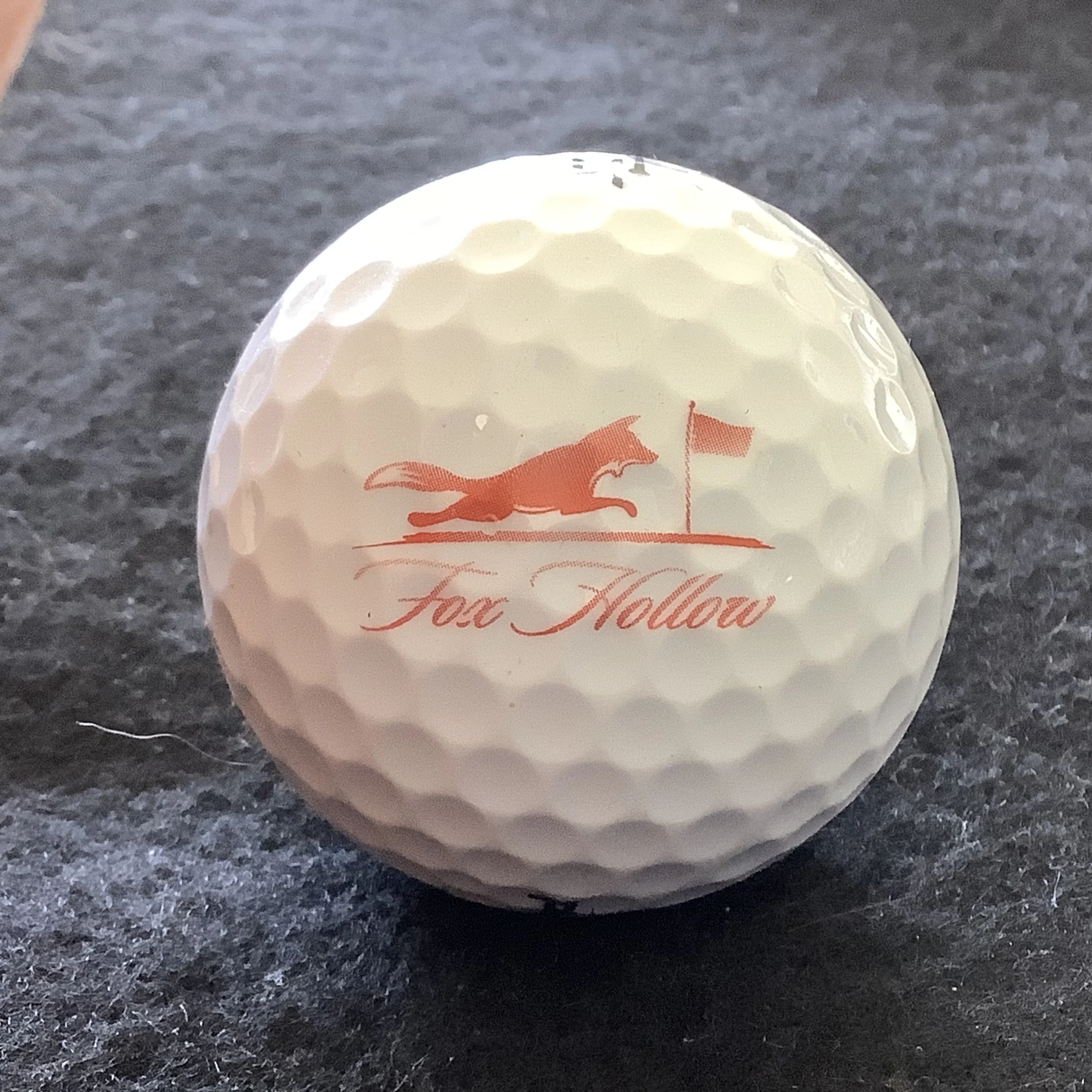 Fox Hollow Golf Club 