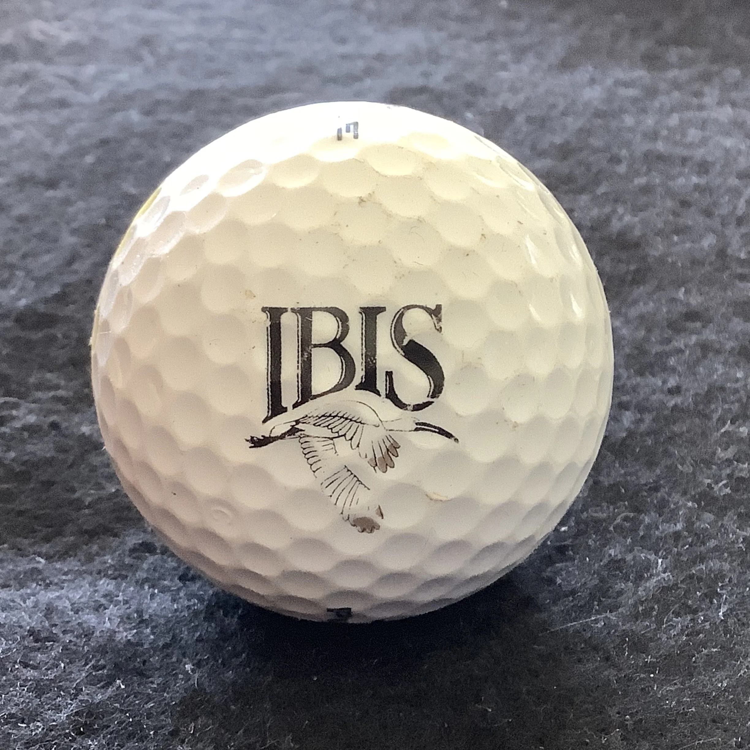 Ibis Golf and Country Club 