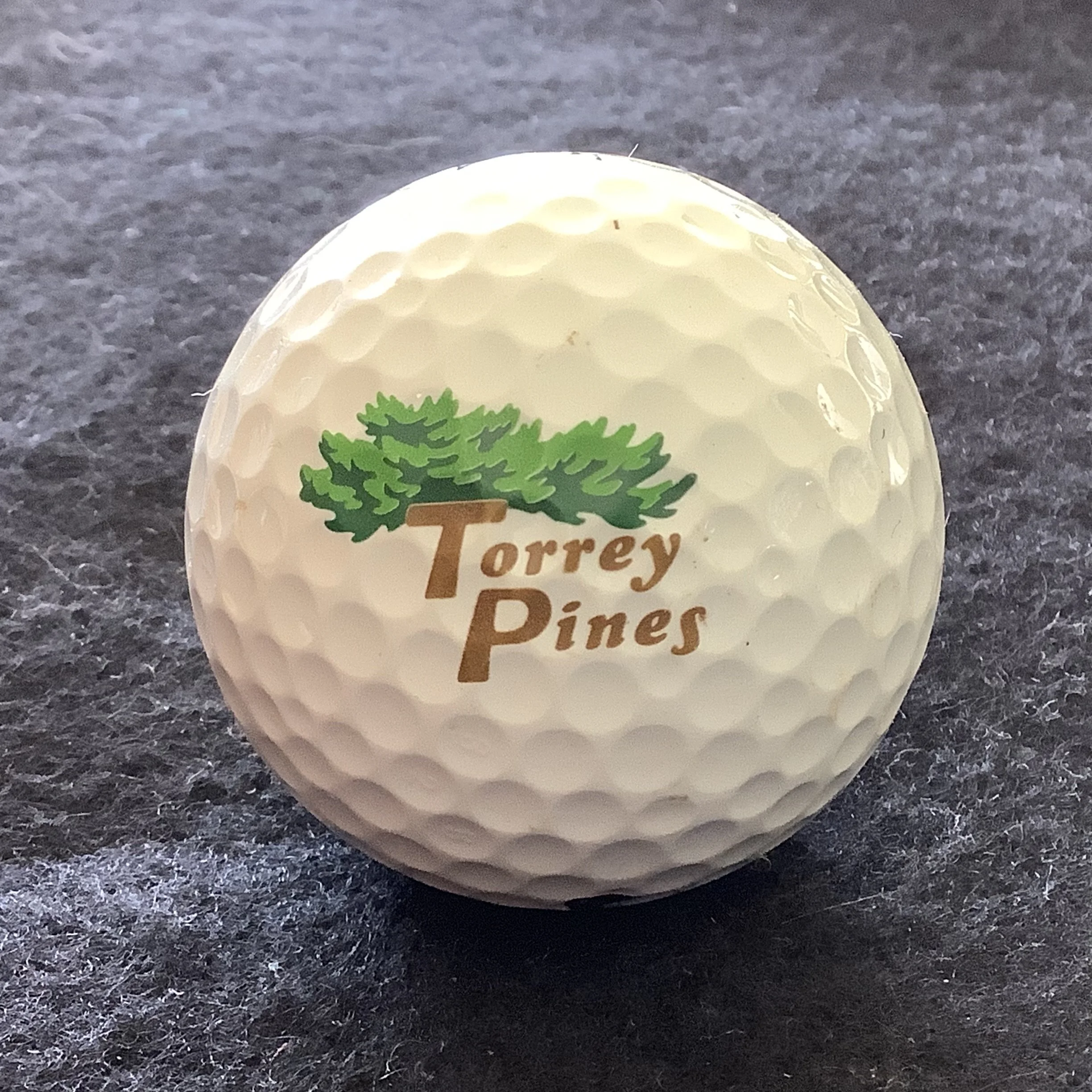 Torrey Pines Golf Club 